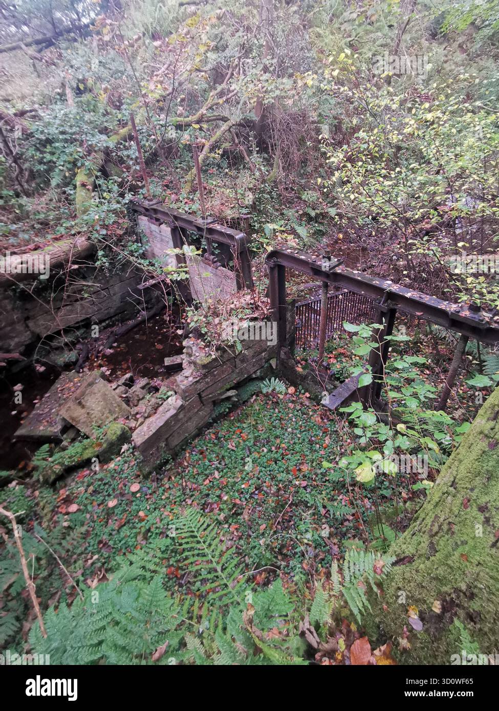 Porte de verrouillage en ruine sur Forestmill lade, Gartmorn Dam, Clackmannanshire - autrefois vitale pour le contrôle de l'énergie hydraulique, maintenant une relique en décomposition du patrimoine industriel. - Image de stock capturée avec un smartphone