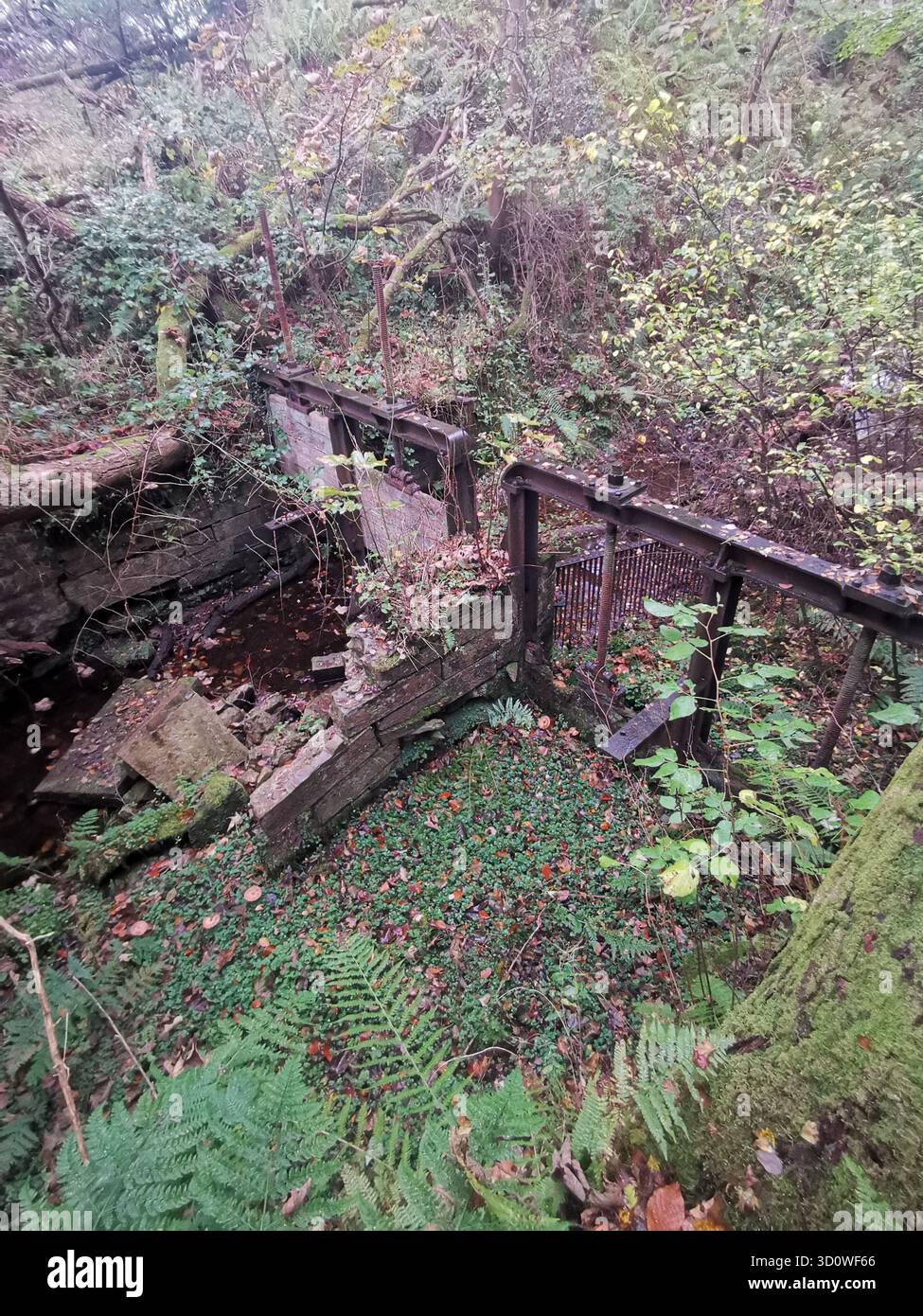 Porte de verrouillage en ruine sur Forestmill lade, Gartmorn Dam, Clackmannanshire - autrefois vitale pour le contrôle de l'énergie hydraulique, maintenant une relique en décomposition du patrimoine industriel. - Image de stock capturée avec un smartphone