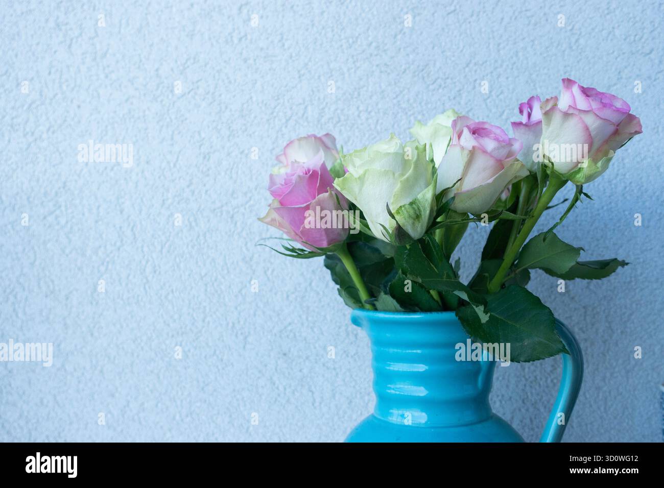 Roses roses et blanches dans un vase en céramique turquoise contre mur bleu clair, décor floral romantique Banque D'Images