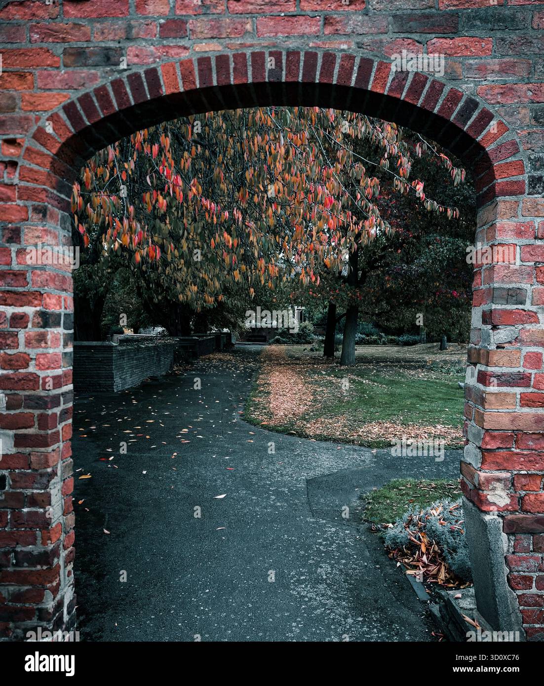 Une collection de photographies d'ambiance montrant la beauté de l'automne le long de la rivière Trent et dans les jardins Stapenhill, Burton upon Trent. Le SC Banque D'Images