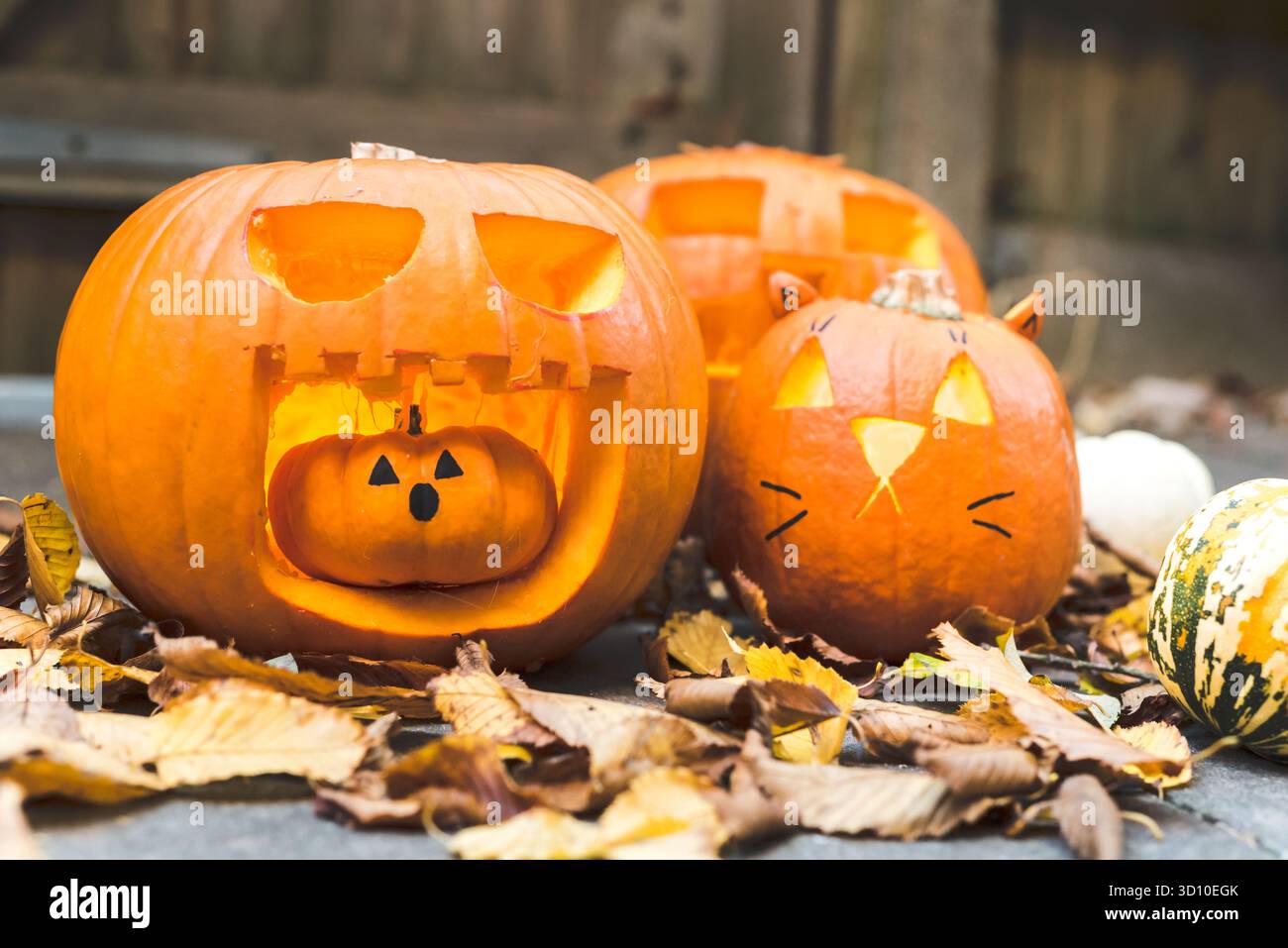 Citrouilles sculptées d'Halloween avec des feuilles d'automne Banque D'Images