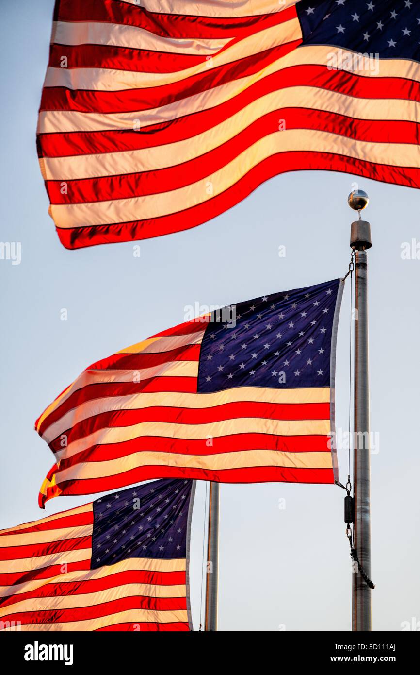 Drapeaux américains dans la lumière de l'heure d'or Washington DC // WASHINGTON DC — les drapeaux américains flottent près du Washington Monument, illuminé par la lumière du soleil doré quelques minutes avant le coucher du soleil. Cet obélisque emblématique du National Mall commémore George Washington, le premier président américain. Point de repère important dans la capitale nationale, il est géré par le National Park Service. C'est la plus haute structure en pierre et obélisque du monde, mesurant 169,046 mètres (554 pieds 7 11⁄32 pouces) de haut. Situé à l'extrémité ouest du National Mall, il symbolise l'histoire américaine et la fierté nationale. Banque D'Images