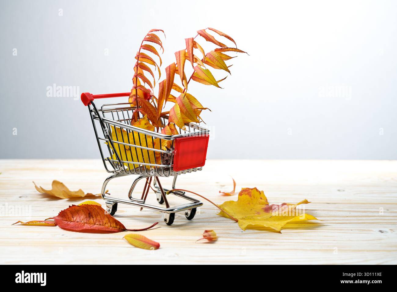 Vente d'automne, panier avec des feuilles d'automne colorées sur bois clair sur fond gris, concept de publicité saisonnière, espace de copie, foc sélectionné Banque D'Images