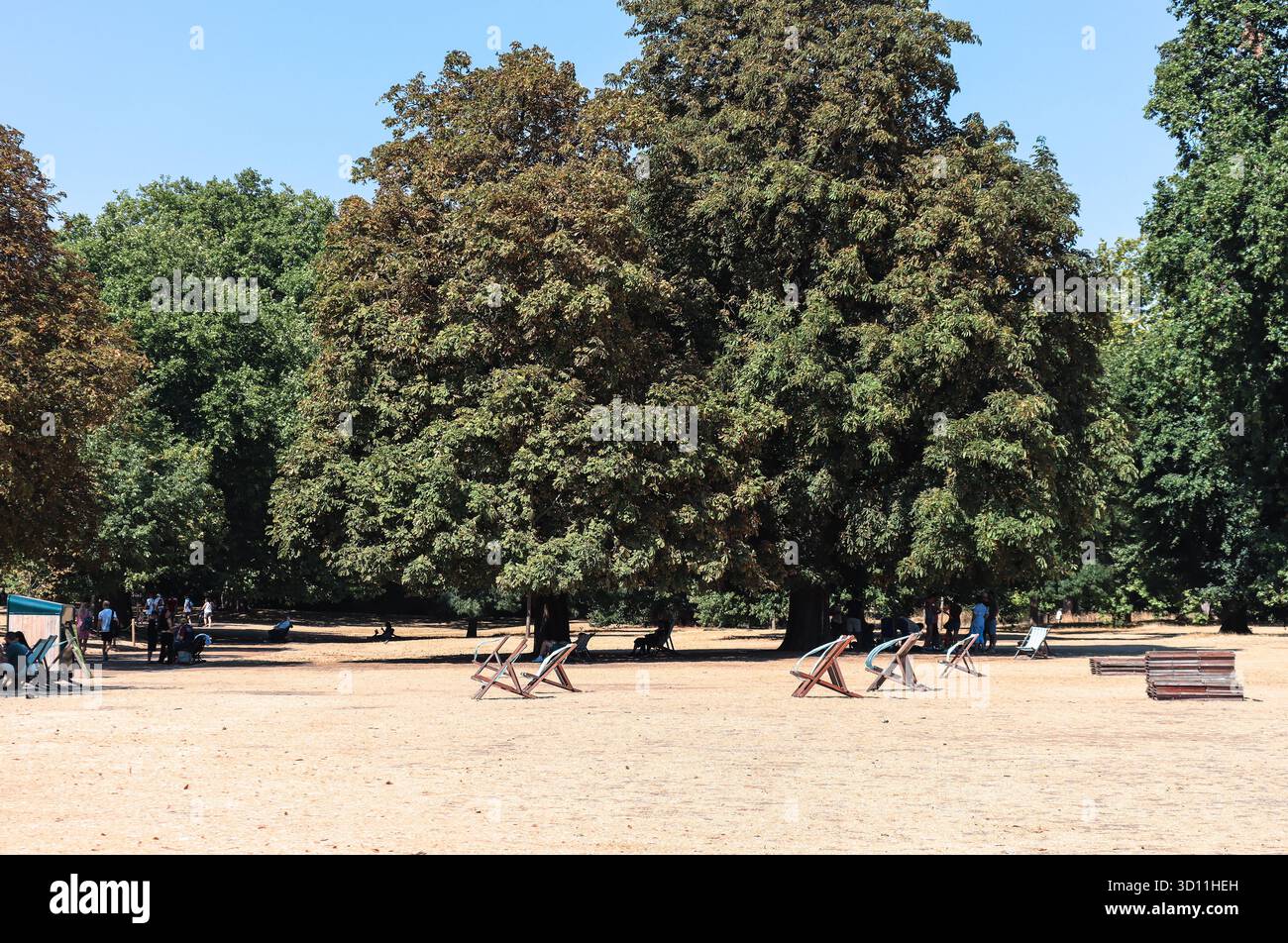 Londres, Angleterre - 13 août 2022 : Hyde Park avec de l'herbe brûlée par le soleil et des chaises longues pendant une canicule estivale Banque D'Images