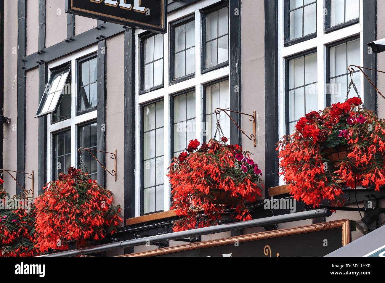 Cardiff, pays de Galles - 15 août 2022 : façade du pub Blue Bell avec des fleurs rouges suspendues et un design traditionnel en bois noir et blanc Banque D'Images