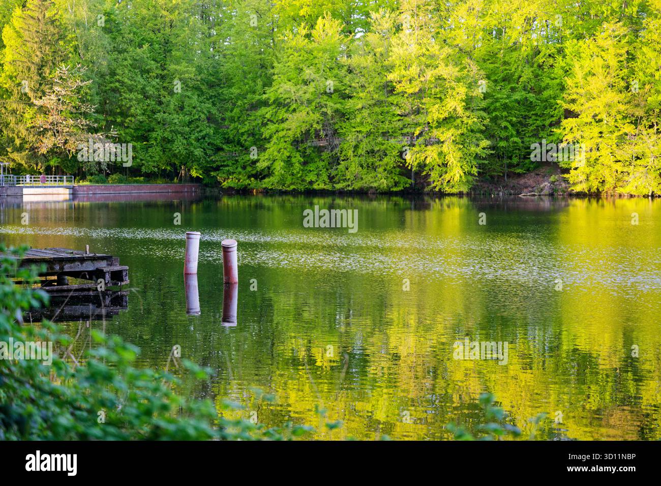 L'eau calme entoure deux tuyaux rouges bruns à côté d'une jetée compacte, le vent léger peint des anneaux minces sur la surface, la verdure basse encadre la rive, la scène s Banque D'Images