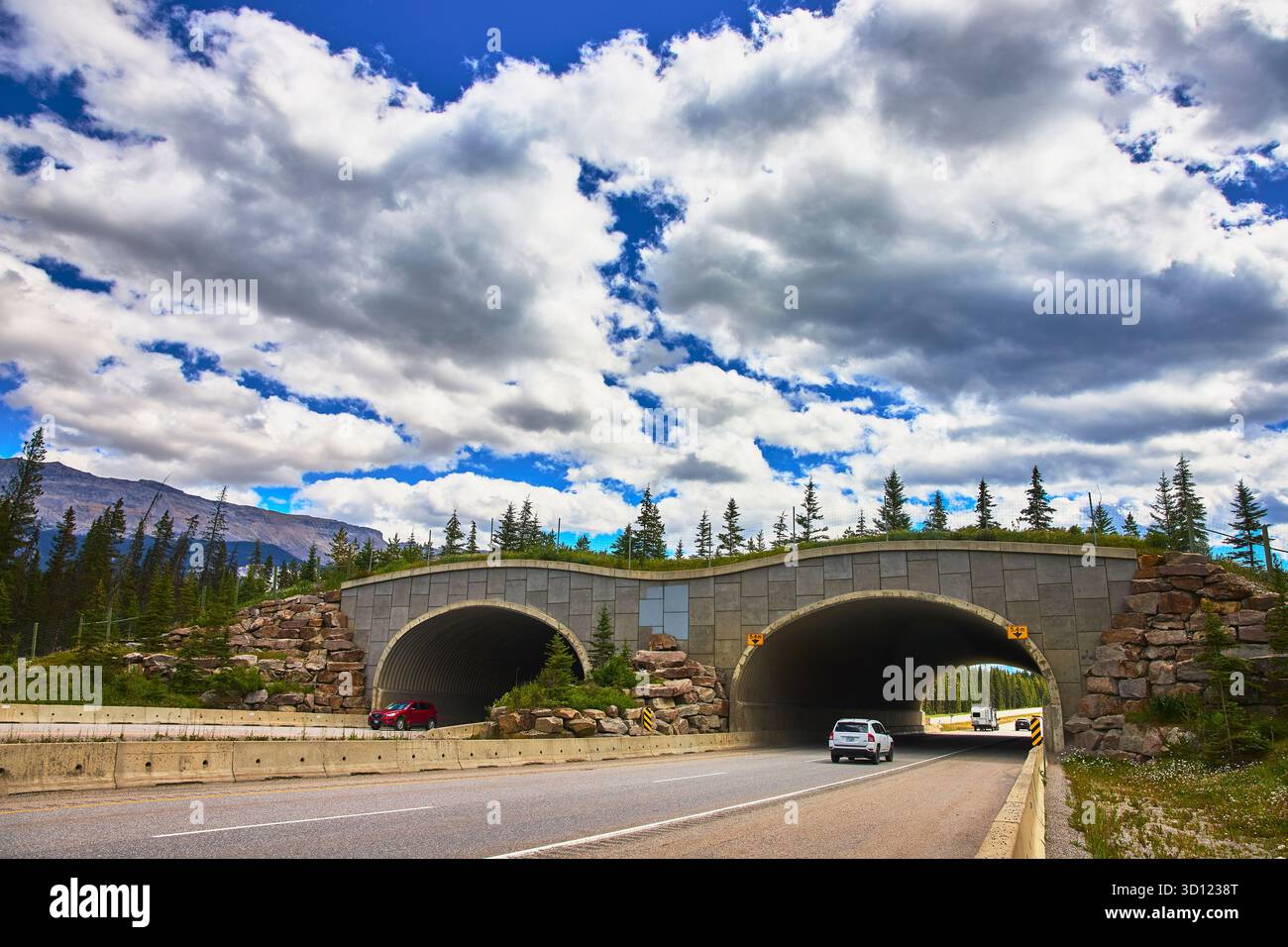 Wildlife overpass banff national park Banque de photographies et d ...