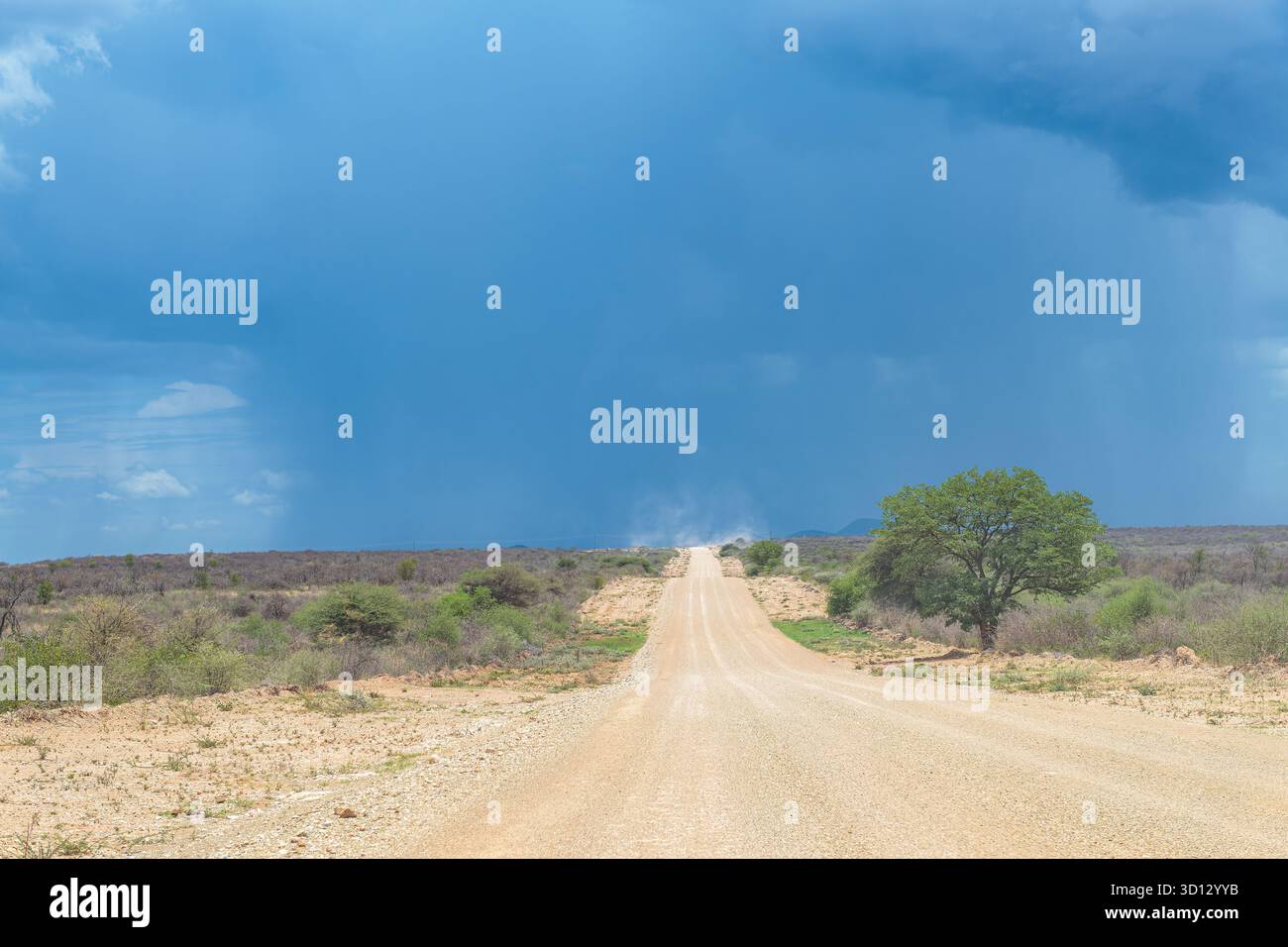Route de sable dans la vallée de la rivière Ugab, Namibie Banque D'Images