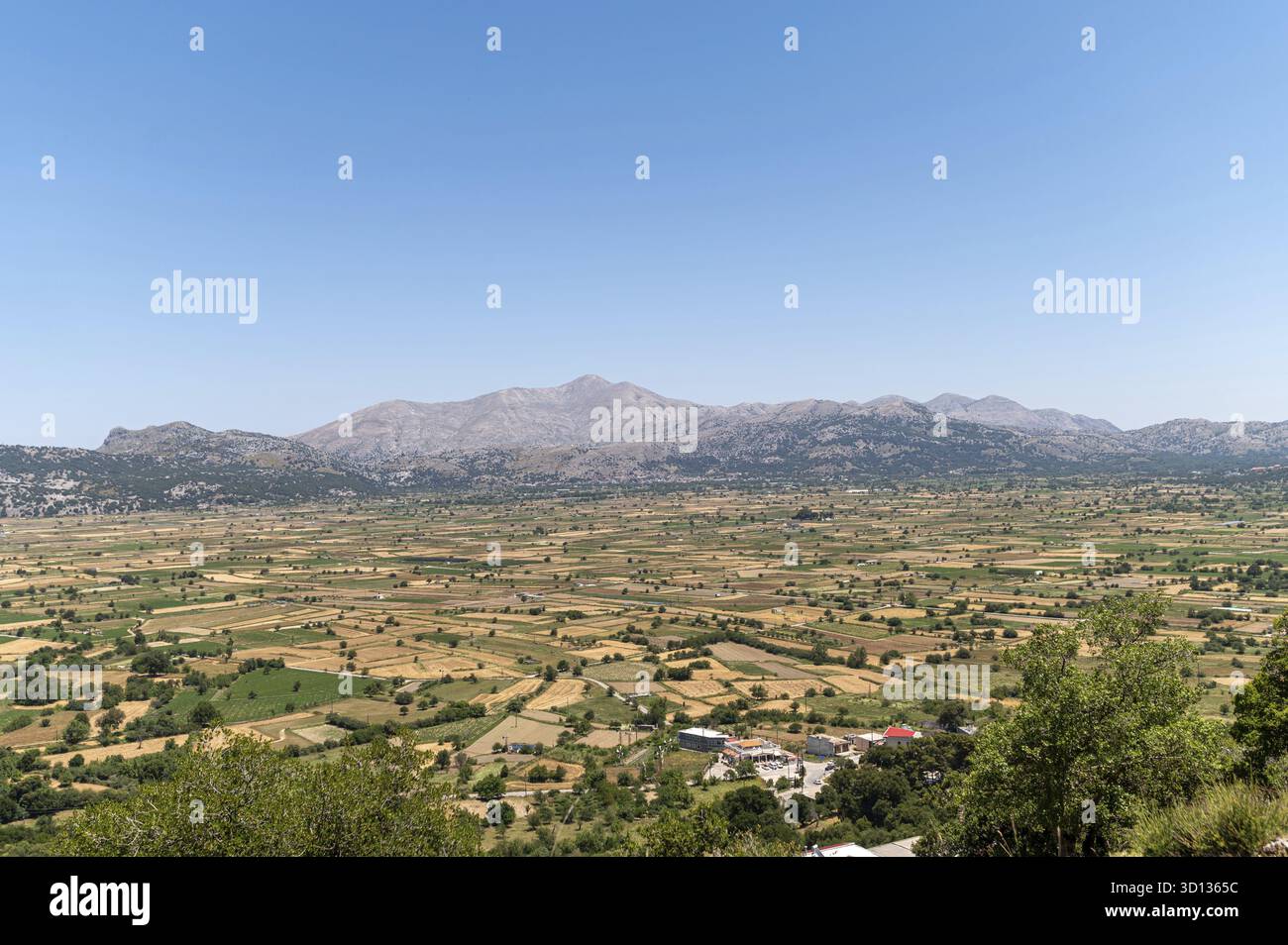 Le paysage verdoyant du plateau de Lasithi révèle champs et montagnes par une journée ensoleillée Banque D'Images