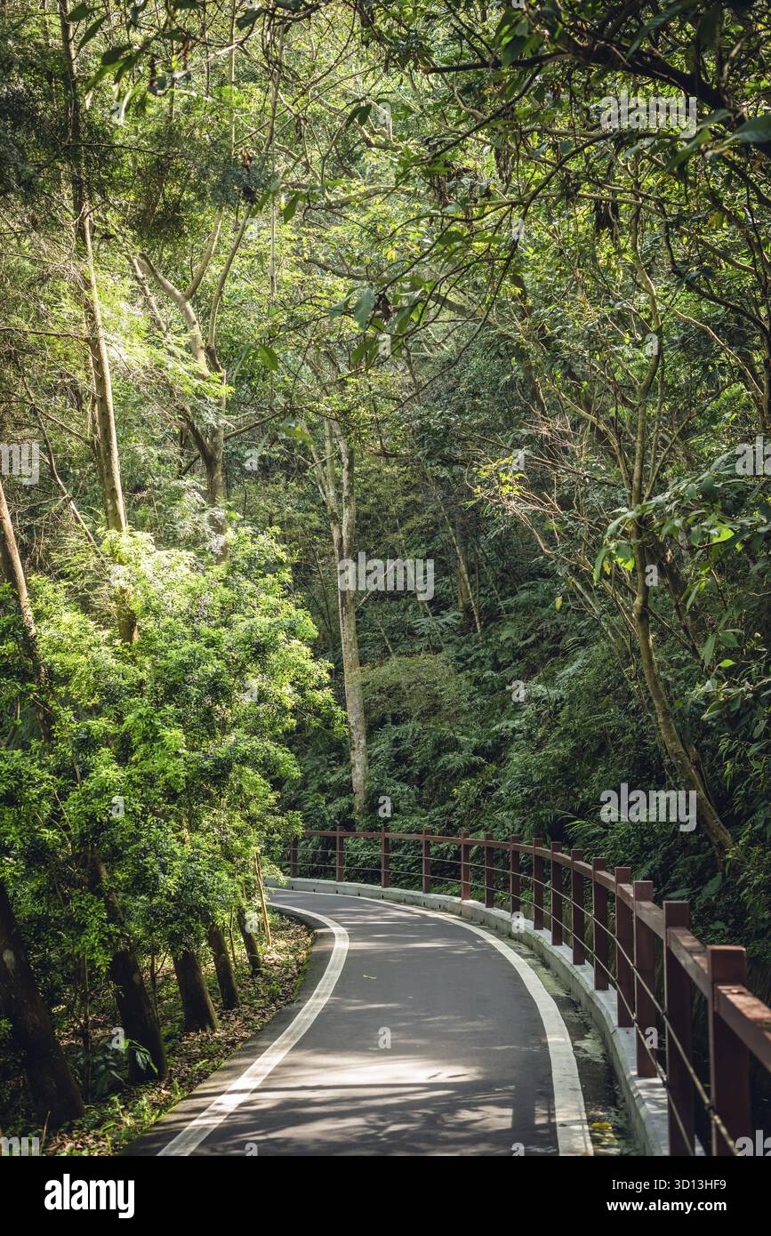 Petite route par les arbres sans personne dans la journée Banque D'Images