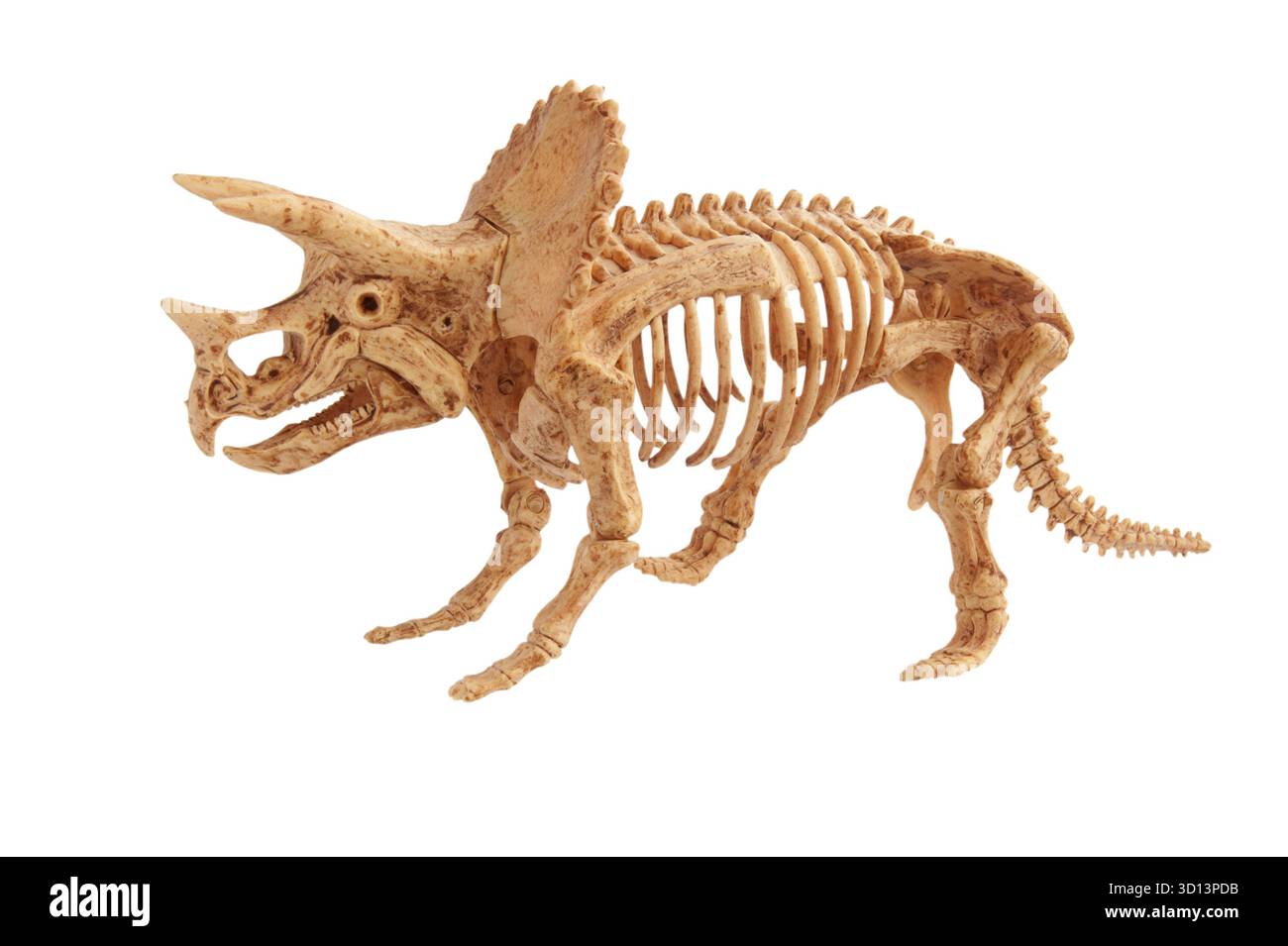Jouet triceratops isolé sur blanc Banque D'Images