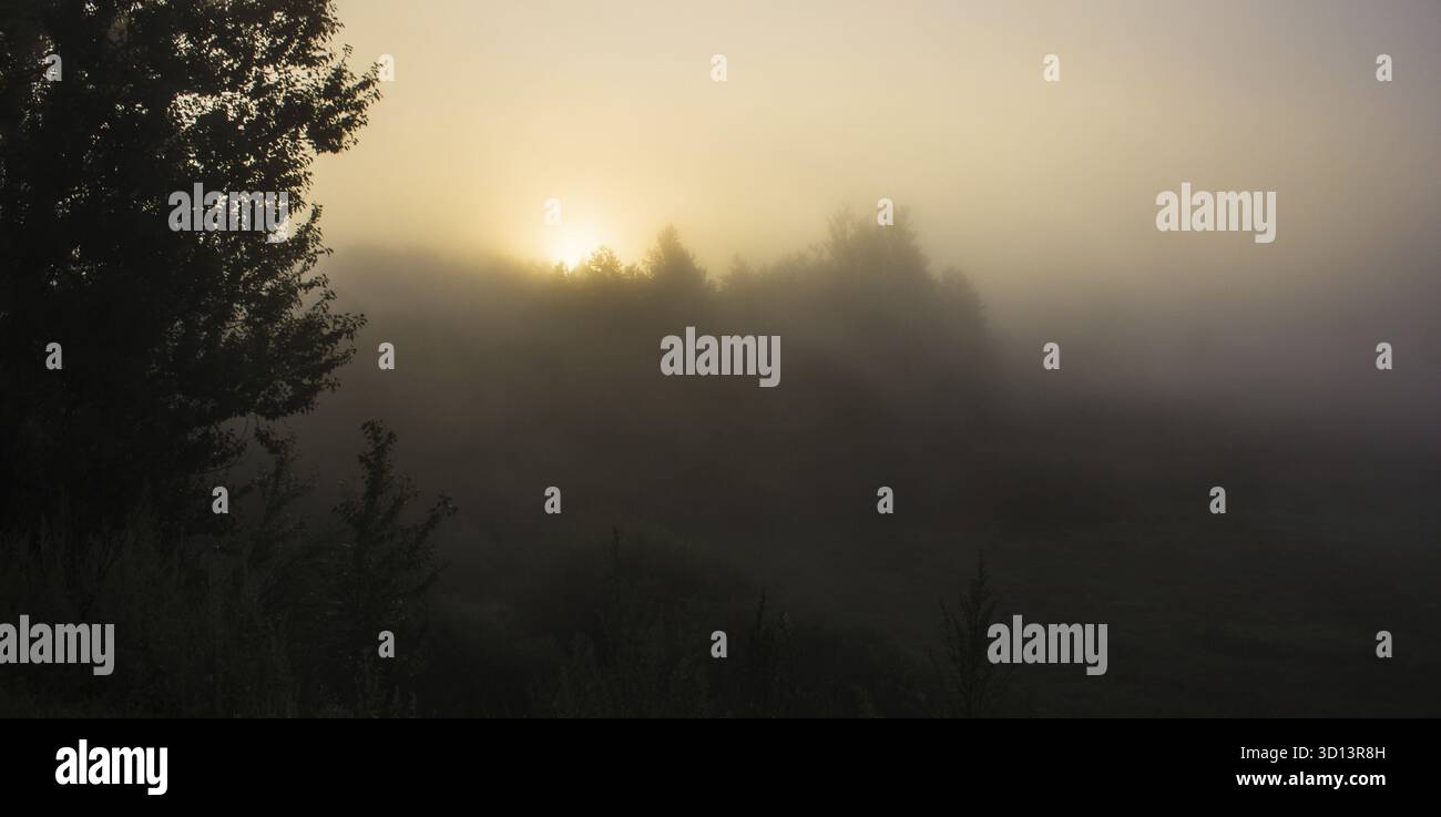 Brume sur la rivière. Le brouillard du matin. L'évaporation de l'eau. Brouillard d'été Banque D'Images