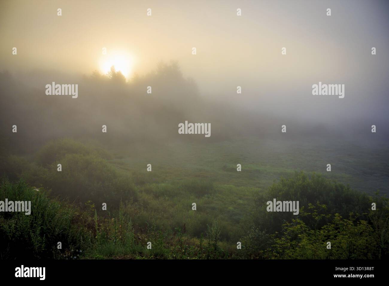 Brume sur la rivière. Le brouillard du matin. L'évaporation de l'eau. Brouillard d'été Banque D'Images