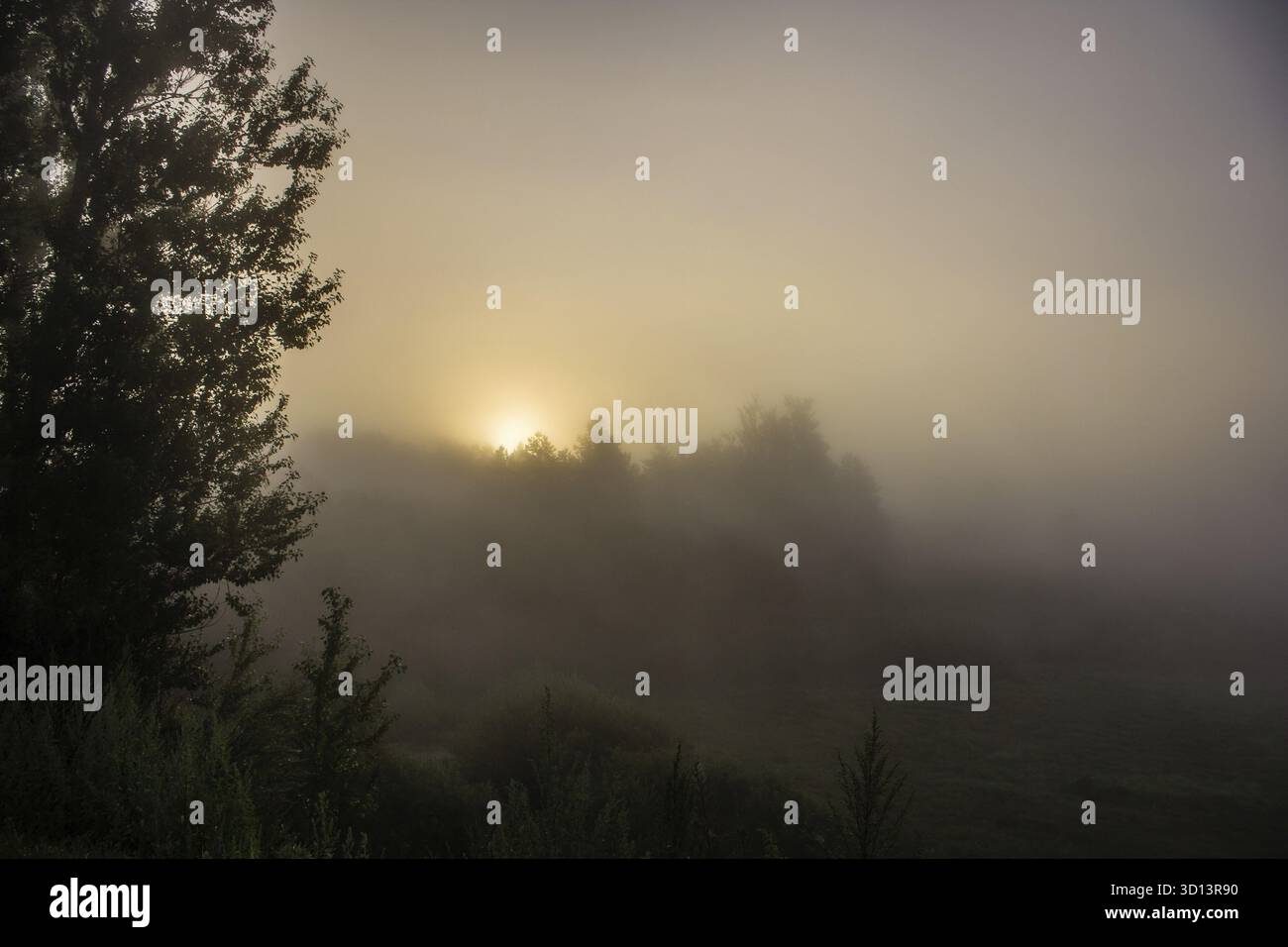 Brume sur la rivière. Le brouillard du matin. L'évaporation de l'eau. Brouillard d'été Banque D'Images