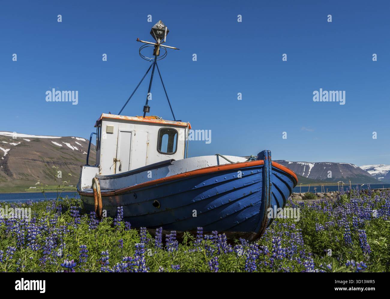 Thingeyri, Islande - 5 juillet 2016 : vieux bateau de pêche en bois bleu près du port de Thingeyri avec des montagnes et de la neige sur l'Islande, Thingeyri, IJsland Banque D'Images