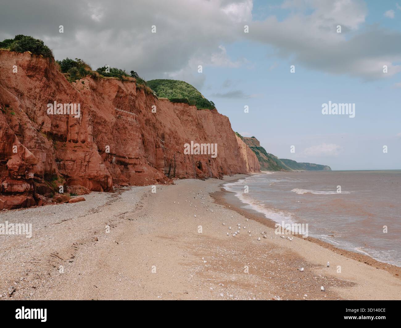 Falaises de grès rouge le long de la côte de Sidmouth, Devon, partie de la côte jurassique classée au patrimoine mondial de l'UNESCO, Angleterre Royaume-Uni Banque D'Images