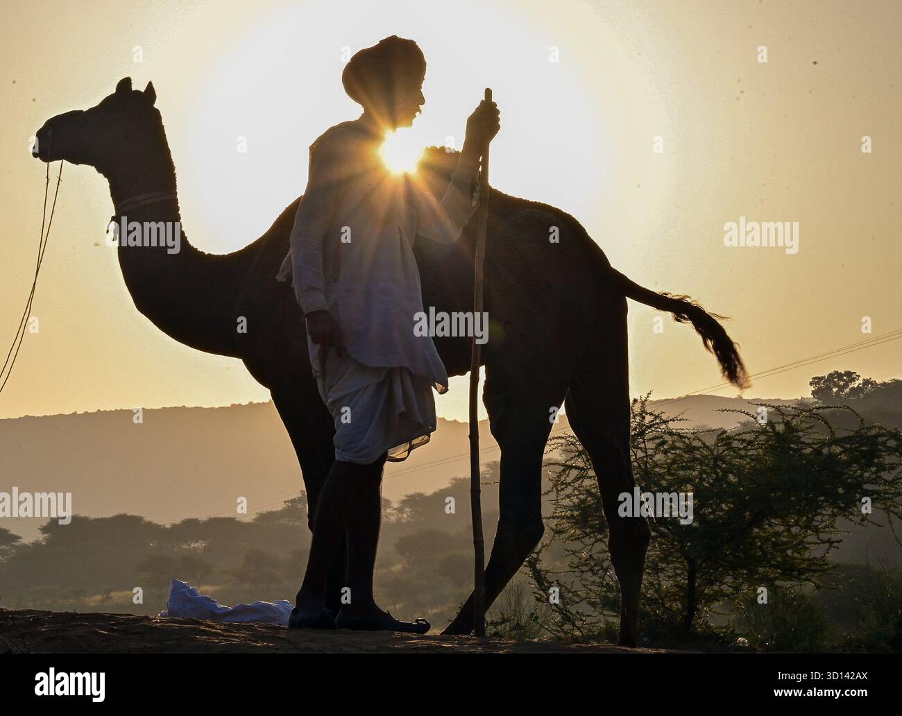 Pushkar, Rajasthan, Inde. 25 octobre 2025. La foire de Pushkar est l'une des plus grandes foires de chameau, de chevaux et de bétail de l'Inde. Outre le commerce du bétail, c'est une importante saison de pèlerinage pour les hindous qui comprend le commerce du bétail, des festivités culturelles et des cérémonies religieuses. La foire aux chameaux de Pushkar attire à la fois les Rajasthanis locaux et les touristes internationaux. Les habitants et les étrangers participent à diverses activités. (Crédit image : © Shaukat Ahmed/Pacific Press via ZUMA Press Wire) USAGE ÉDITORIAL SEULEMENT ! Non destiné à UN USAGE commercial ! Banque D'Images Pushkar, Rajasthan, Inde. 25 octobre 2025. La foire de Pushkar est l'une des plus grandes foires de chameau, de chevaux et de bétail de l'Inde. Outre le commerce du bétail, c'est une importante saison de pèlerinage pour les hindous qui comprend le commerce du bétail, des festivités culturelles et des cérémonies religieuses. La foire aux chameaux de Pushkar attire à la fois les Rajasthanis locaux et les touristes internationaux. Les habitants et les étrangers participent à diverses activités. (Crédit image : © Shaukat Ahmed/Pacific Press via ZUMA Press Wire) USAGE ÉDITORIAL SEULEMENT ! Non destiné à UN USAGE commercial ! Banque D'Images