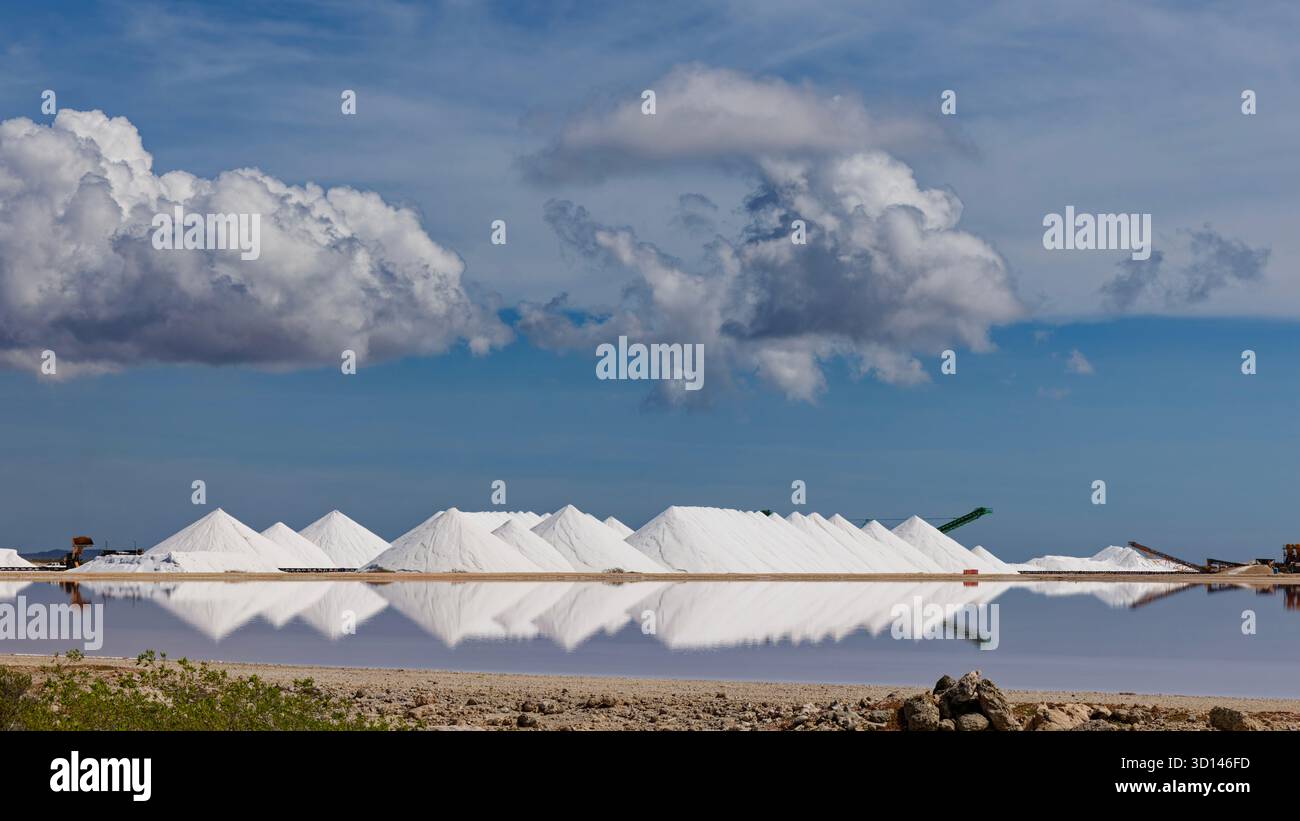 Des monticules salés se reflètent dans un étang salé sur Bonaire avec de légers nuages dans un ciel bleu Banque D'Images