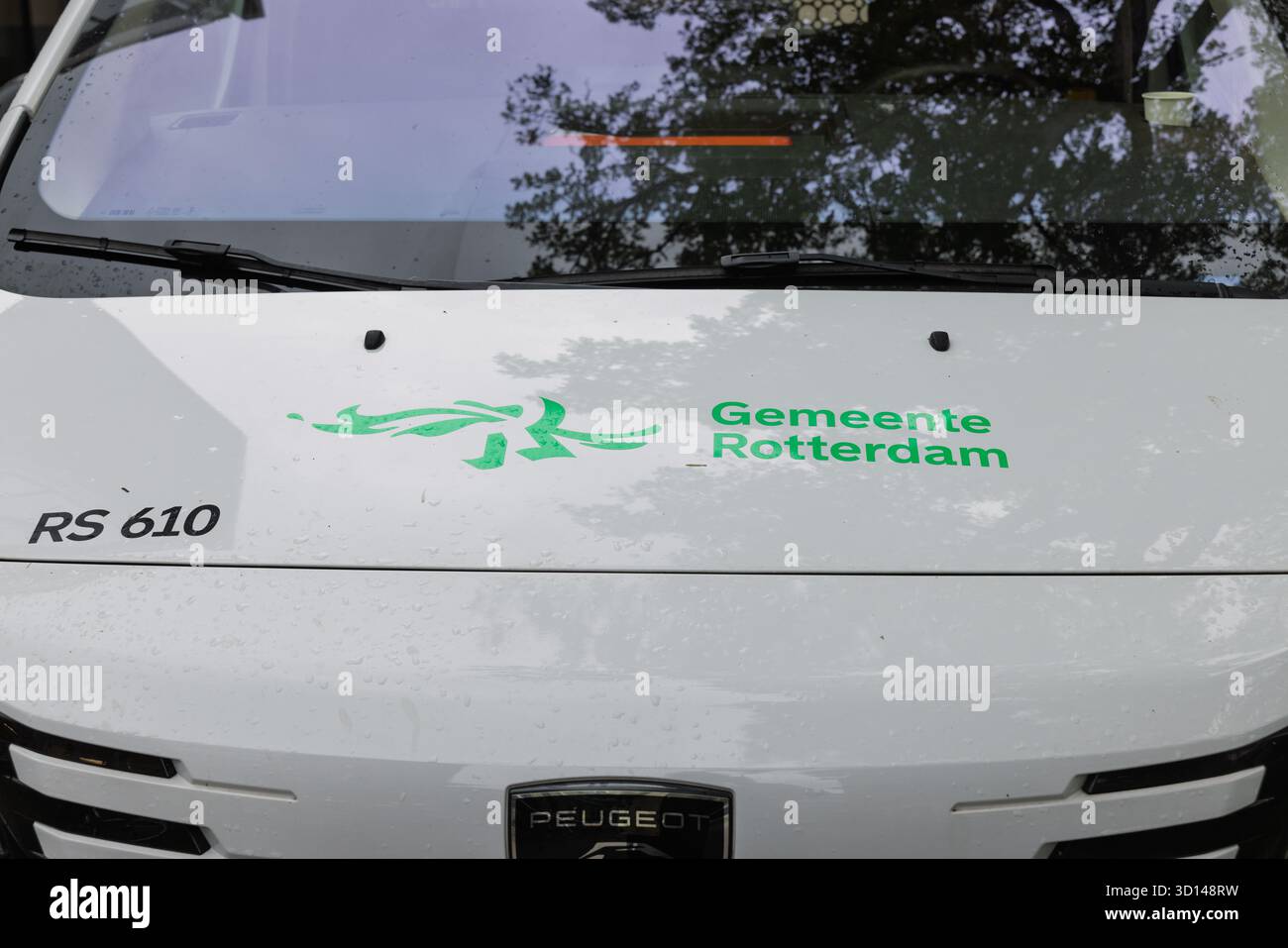 Gros plan du logo « Gemeente Rotterdam » (municipalité de Rotterdam) et du texte en vert sur le capot blanc d'une camionnette d'entretien. Rotterdam, pays-Bas Banque D'Images