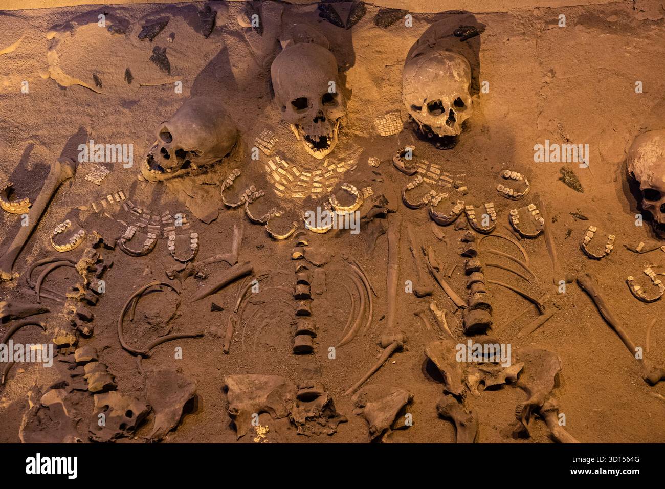 Restes squelettiques avec des offrandes de coquillages et d'obsidiennes, liés au sacrifice rituel et à l'influence étrangère d'Oaxaca dans Teotihuacan. Banque D'Images