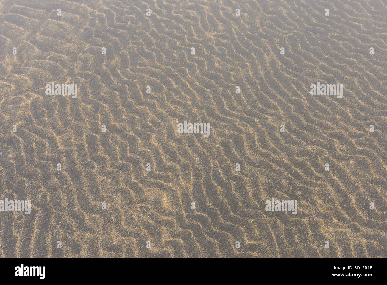 Motifs de sable de lave jaune et noir et de sable volcanique sur une plage dans l'eau, IJsland Banque D'Images