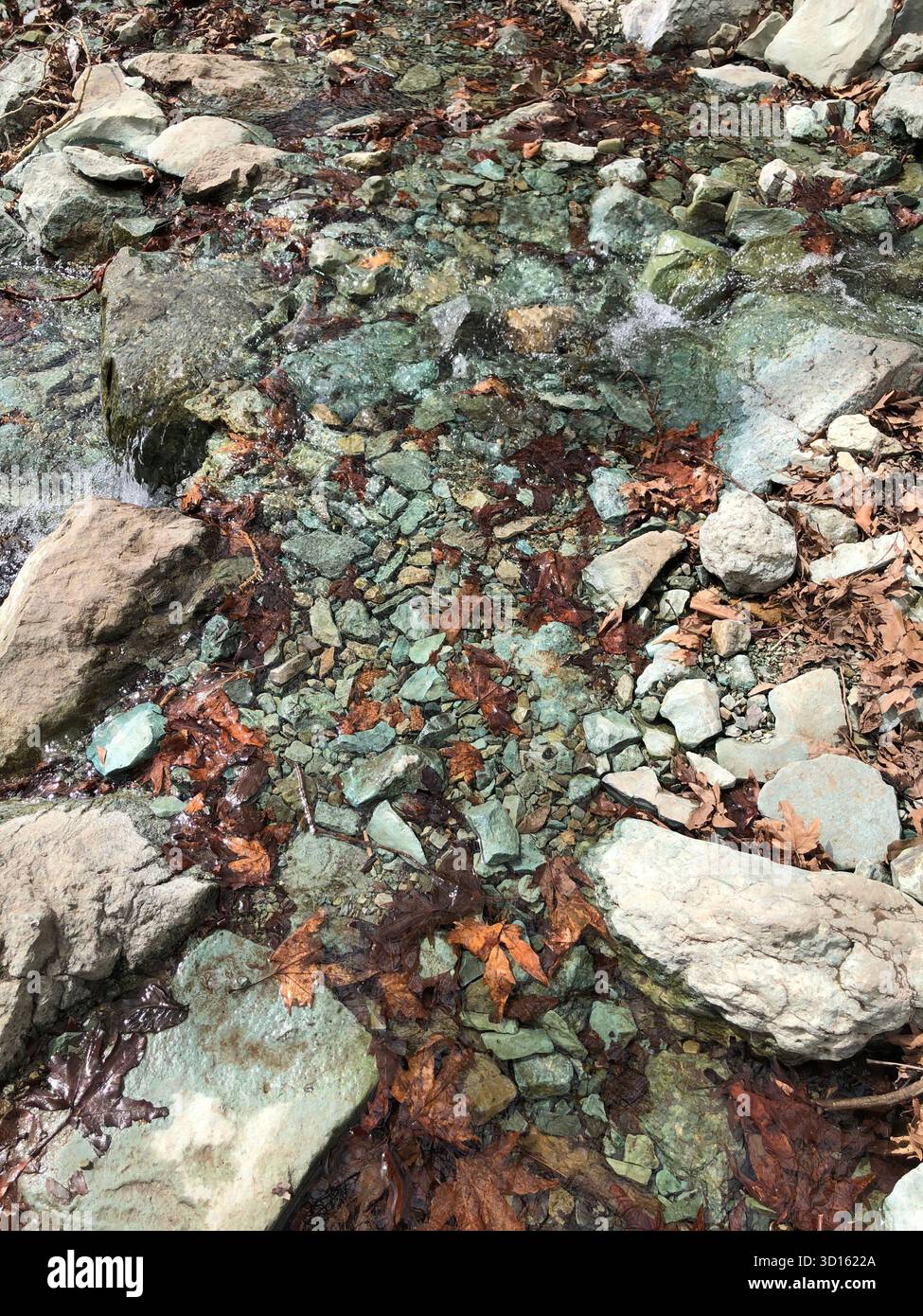 Ruisseau de montagne clair près de Téhéran, Iran - les roches verdâtres et les feuilles d'automne tombées scintillent à travers l'eau peu profonde qui se précipite. Banque D'Images