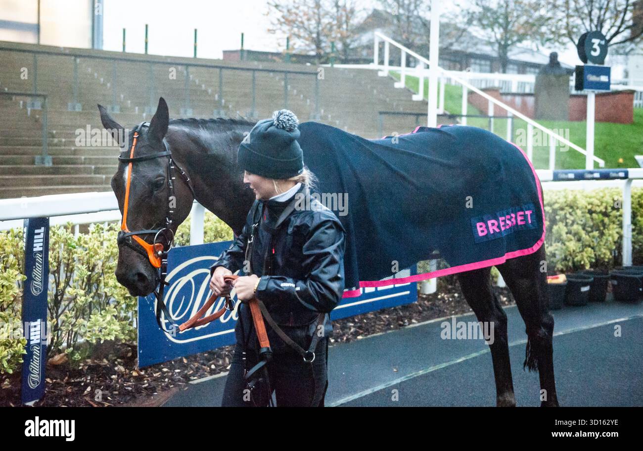 Liverpool, Royaume-Uni. Dimanche 26 octobre 2025. Edith Pelham après avoir remporté le Racing TV Mares Open National Hunt Flat Race à Aintree. Crédit JTW Equine images / Alamy Live News Banque D'Images
