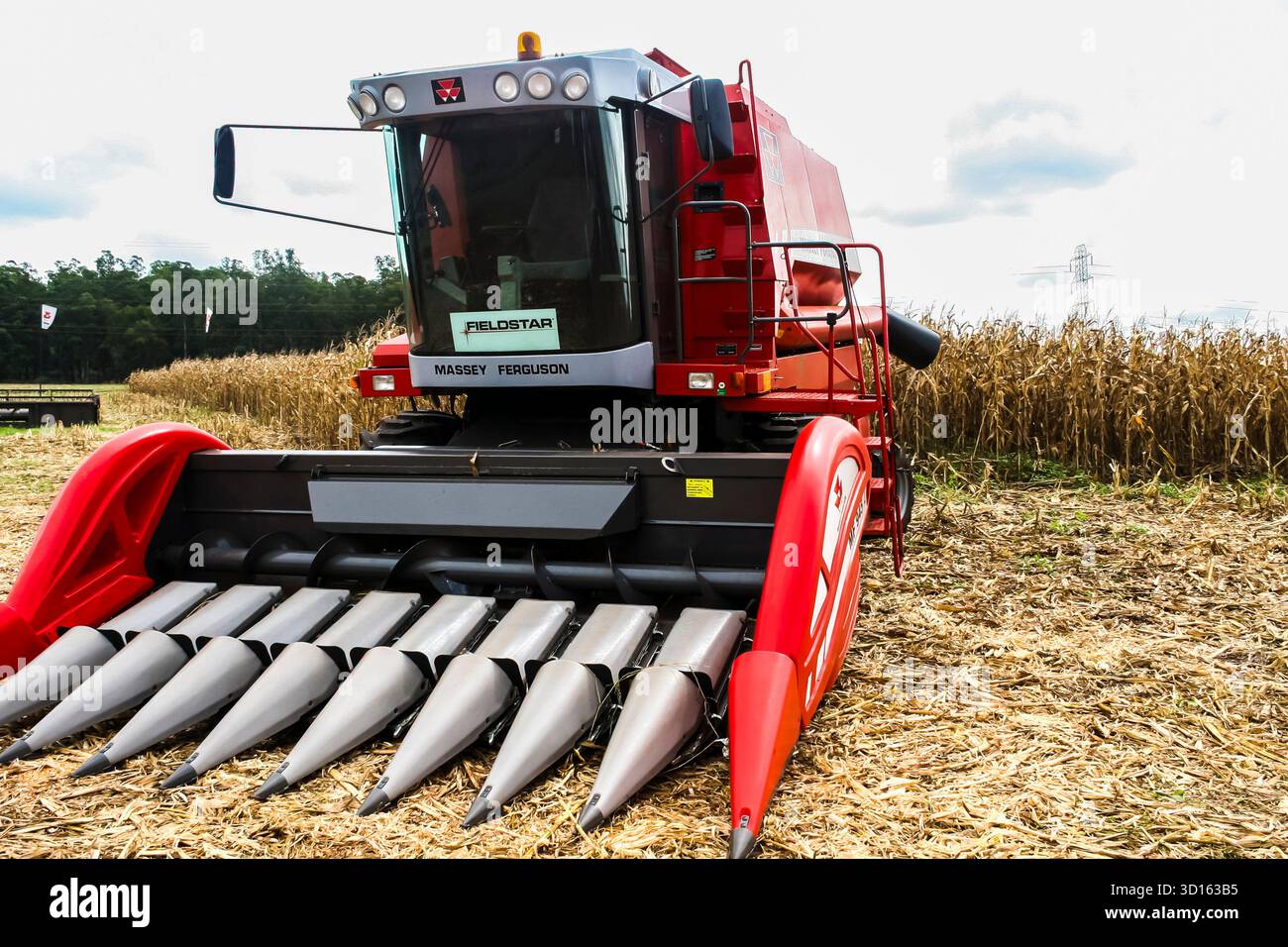 Ribeirao Preto, Sao Paulo, Brésil, 30 avril 2008. Gros plan d'une moissonneuse-batteuse Massey Ferguson pendant la récolte du maïs. L'agriculture moderne en action i Banque D'Images