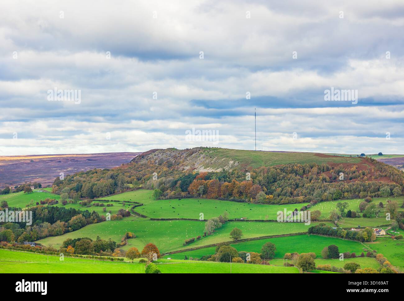 La station de transmission de Bilsdale, un grand mât haut sur les landes à Bilsdale, dans le Yorkshire du Nord. Désactivé par un incendie en août 2021 et remplacé plus tard. Horizo Banque D'Images