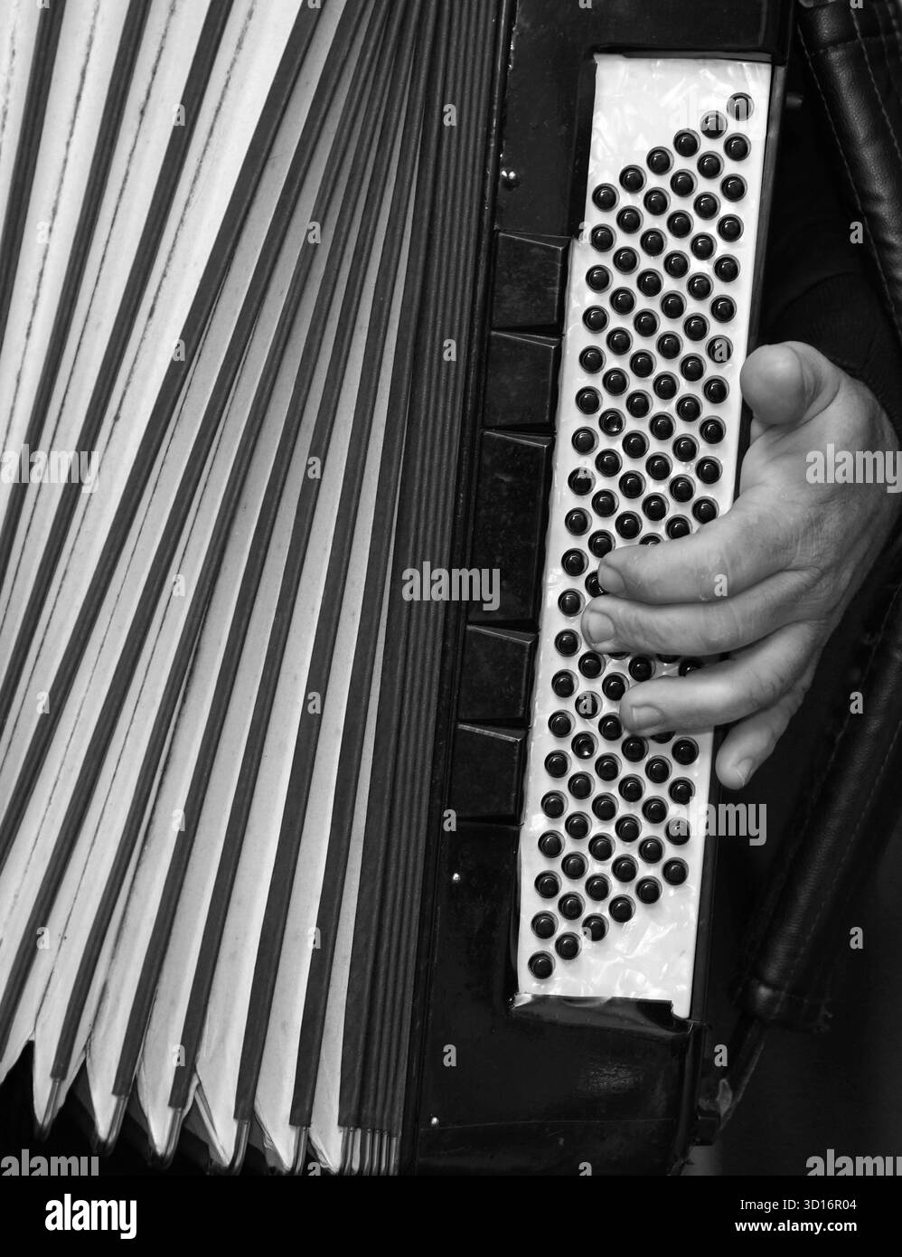 Rythme de l'accordéon. Teintes monochromes. Banque D'Images