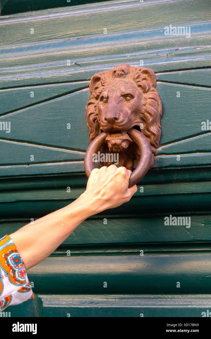 Un poing levé saisit un anneau circulaire en métal tenu par une tête de lion sculptée sur une porte en bois vert altéré. L'image évoque la force, l'invitation, l'histoire Banque D'Images