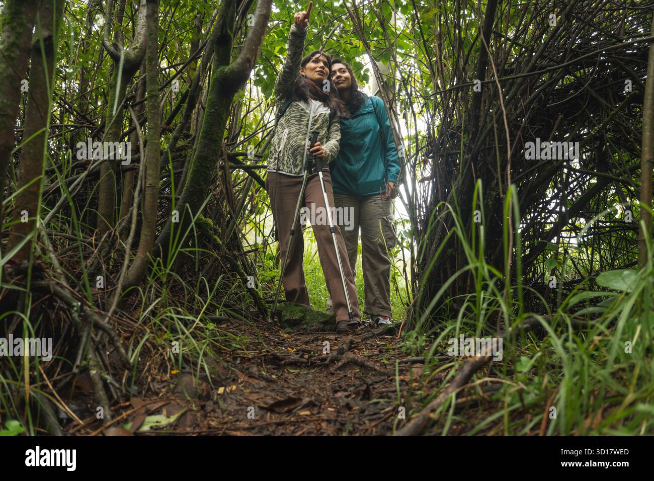Deux amies marchant sur un sentier forestier boueux, l'une pointant vers le haut à travers une végétation dense Banque D'Images