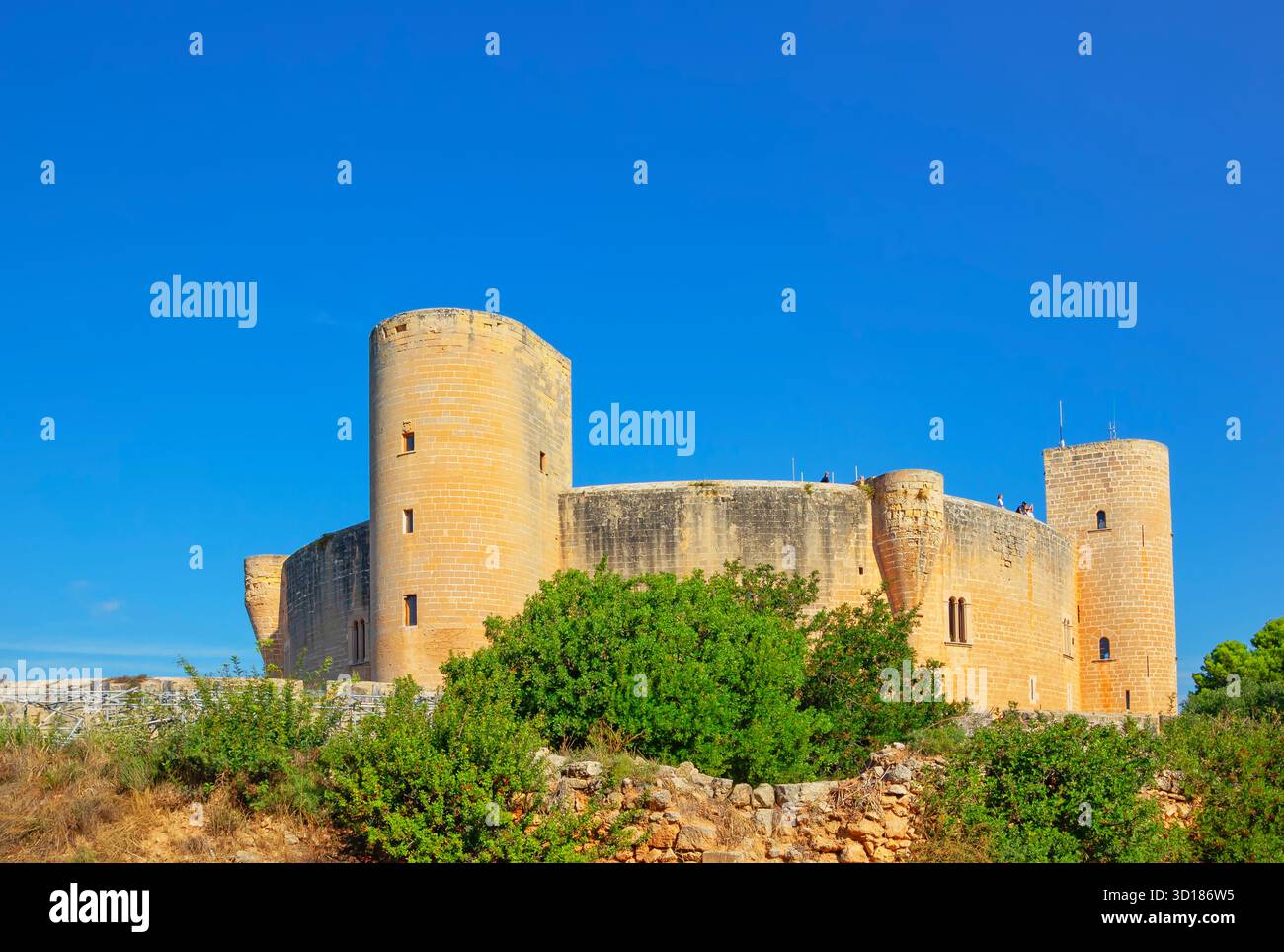 Château de Bellver, Palma de Majorque, Majorque, Îles Baléares, Espagne Banque D'Images
