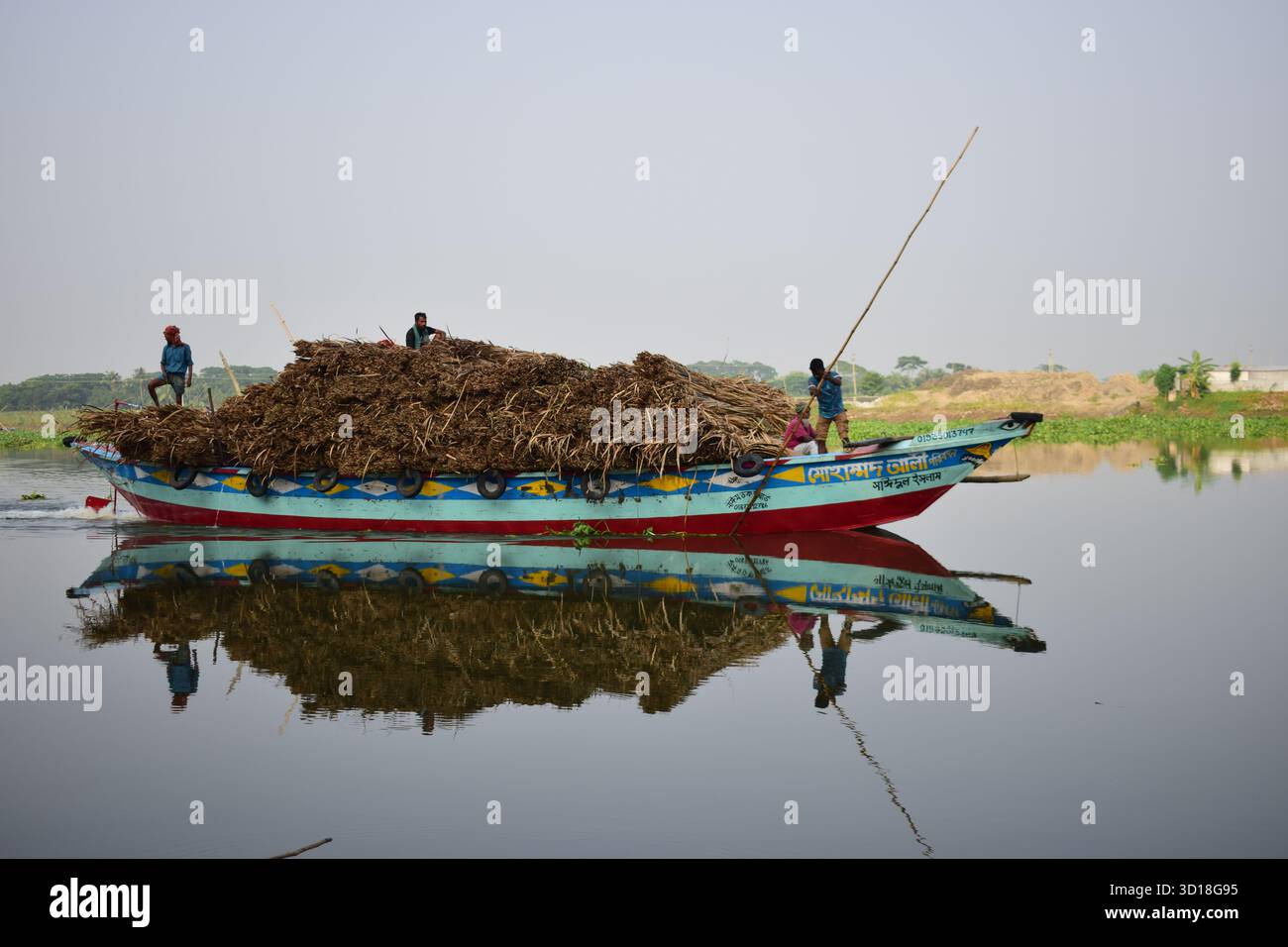 Transporter la masse séchée de roseaux indiens (Typha elephantina Roxb) par Trawler - rural Wetland Resource Journey Banque D'Images