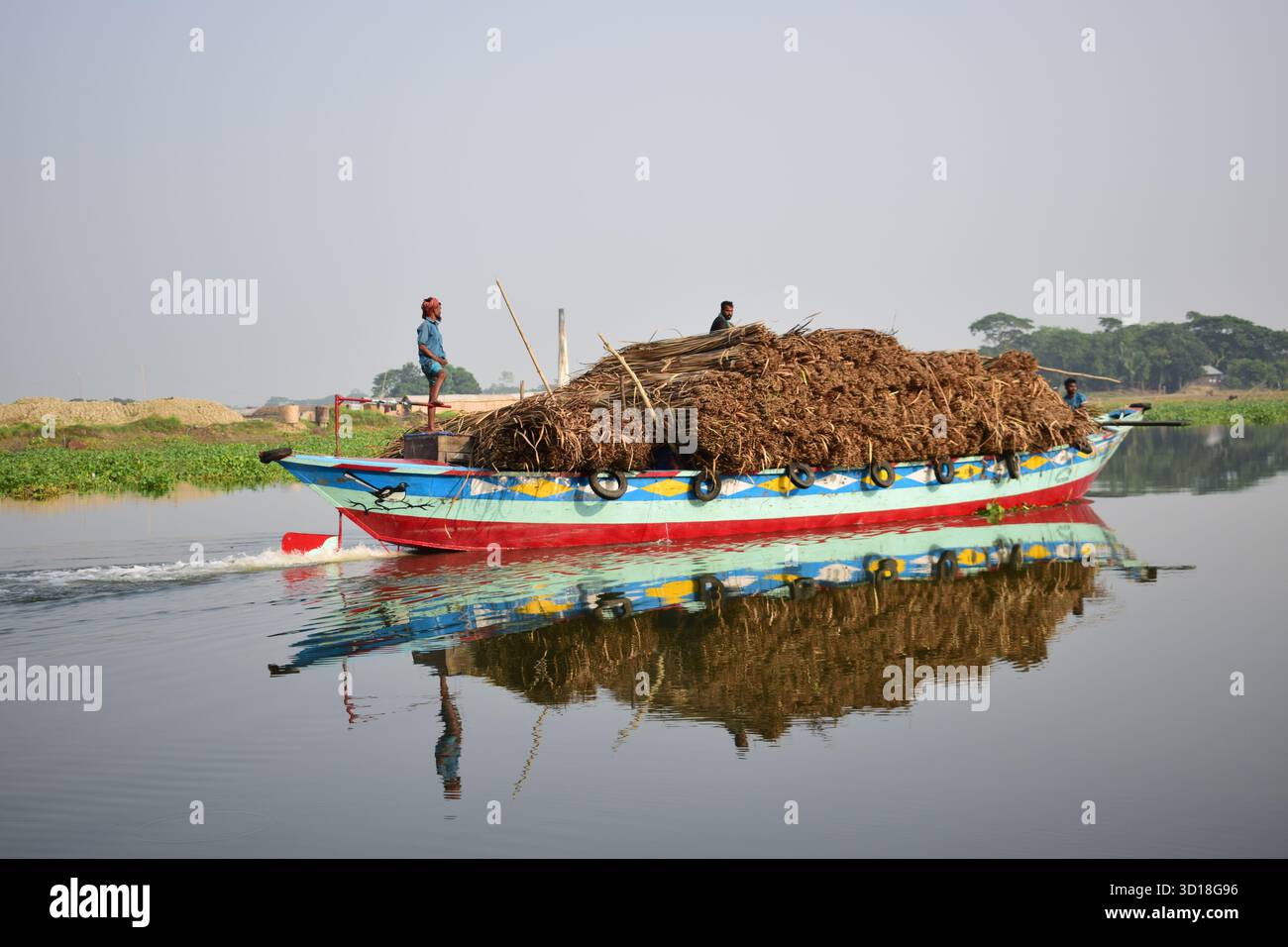 Transporter la masse séchée de roseaux indiens (Typha elephantina Roxb) par Trawler - rural Wetland Resource Journey Banque D'Images