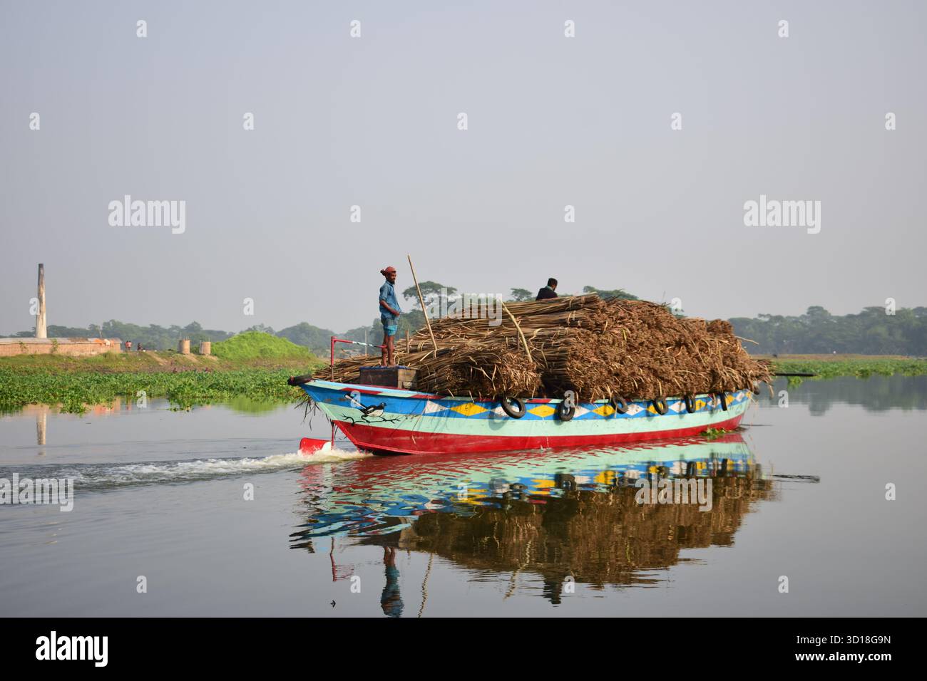 Transporter la masse séchée de roseaux indiens (Typha elephantina Roxb) par Trawler - rural Wetland Resource Journey Banque D'Images