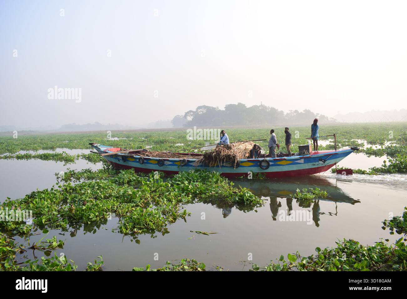 Transporter la masse séchée de roseaux indiens (Typha elephantina Roxb) par Trawler - rural Wetland Resource Journey Banque D'Images