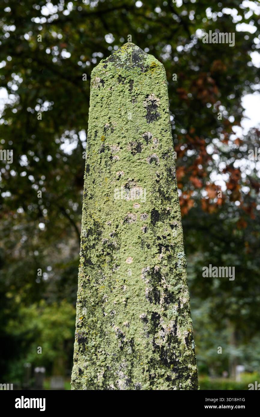 Pierre debout, monument obélisque, recouvert de lichen texturé et coloré. Banque D'Images