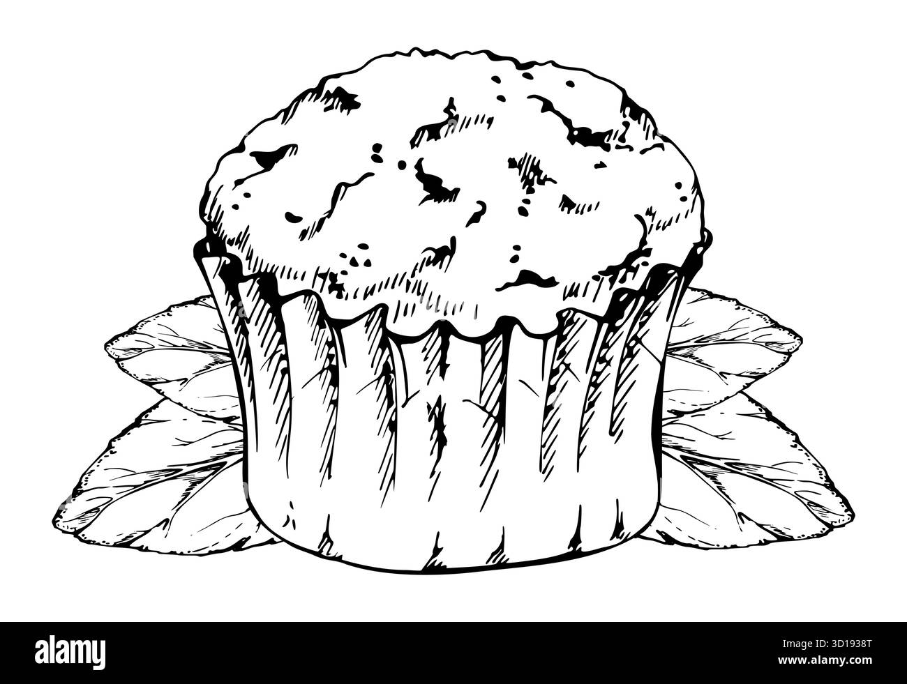 Cupcake à l'encre vectorielle garni de feuilles de menthe fraîche, muffin mou en coquille de parchemin cannelée. Illustration de dessert isolé dessinée à la main. Café-restaurant Illustration de Vecteur