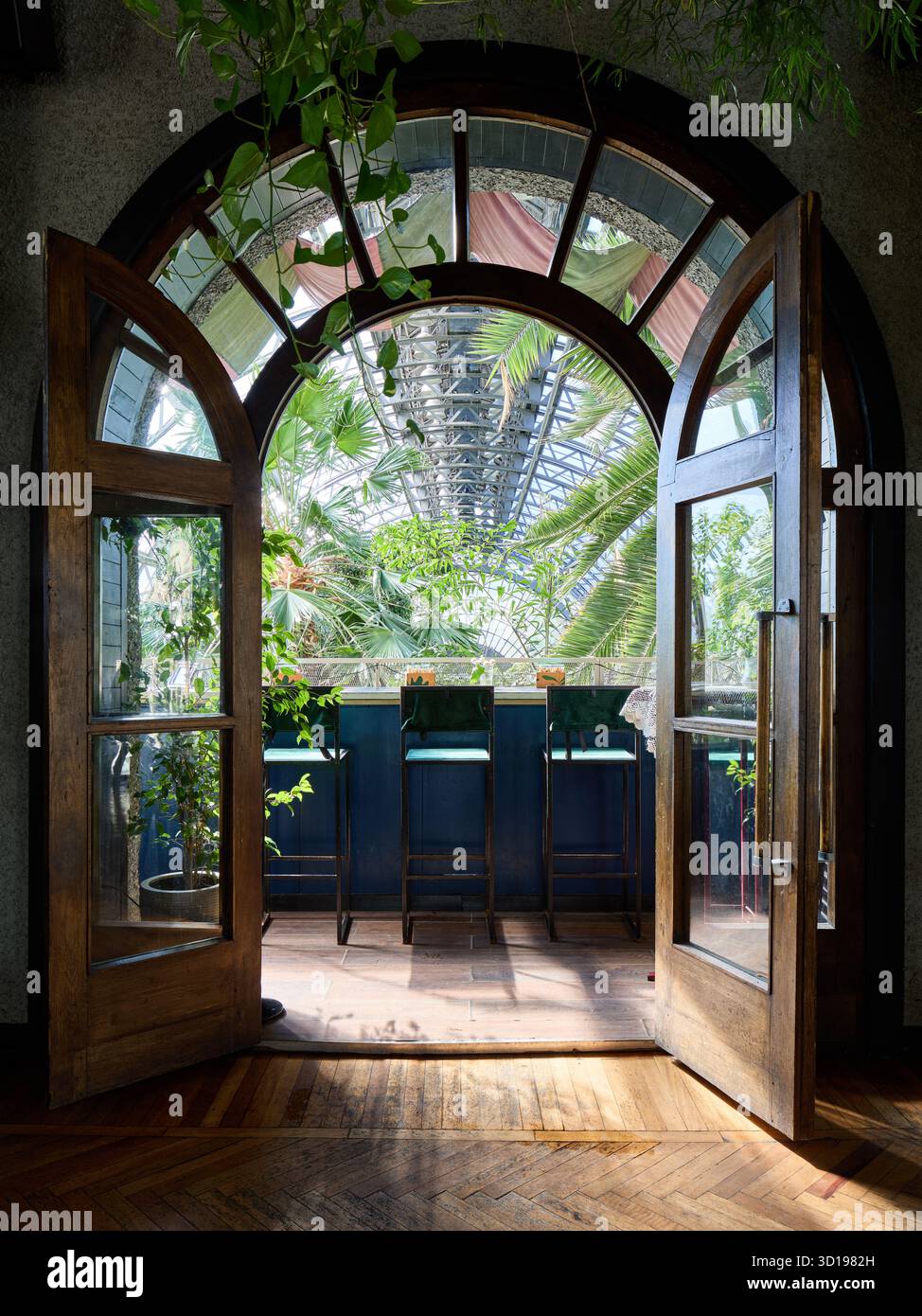 Entrée lumineuse et aérée à un espace jardin intérieur luxuriant Banque D'Images