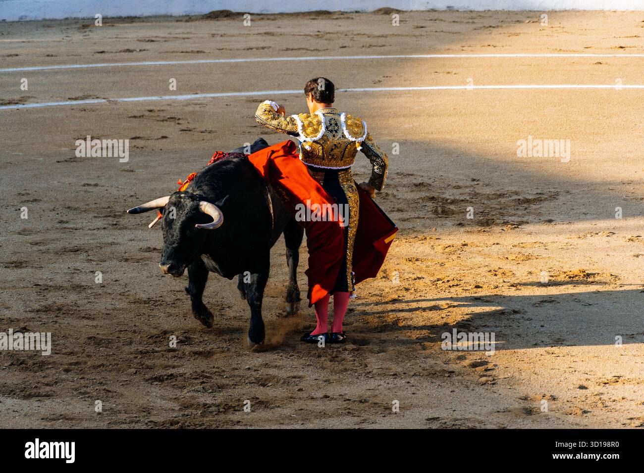 Torerolier jouant avec Bull dans les arènes de San Pedro Banque D'Images