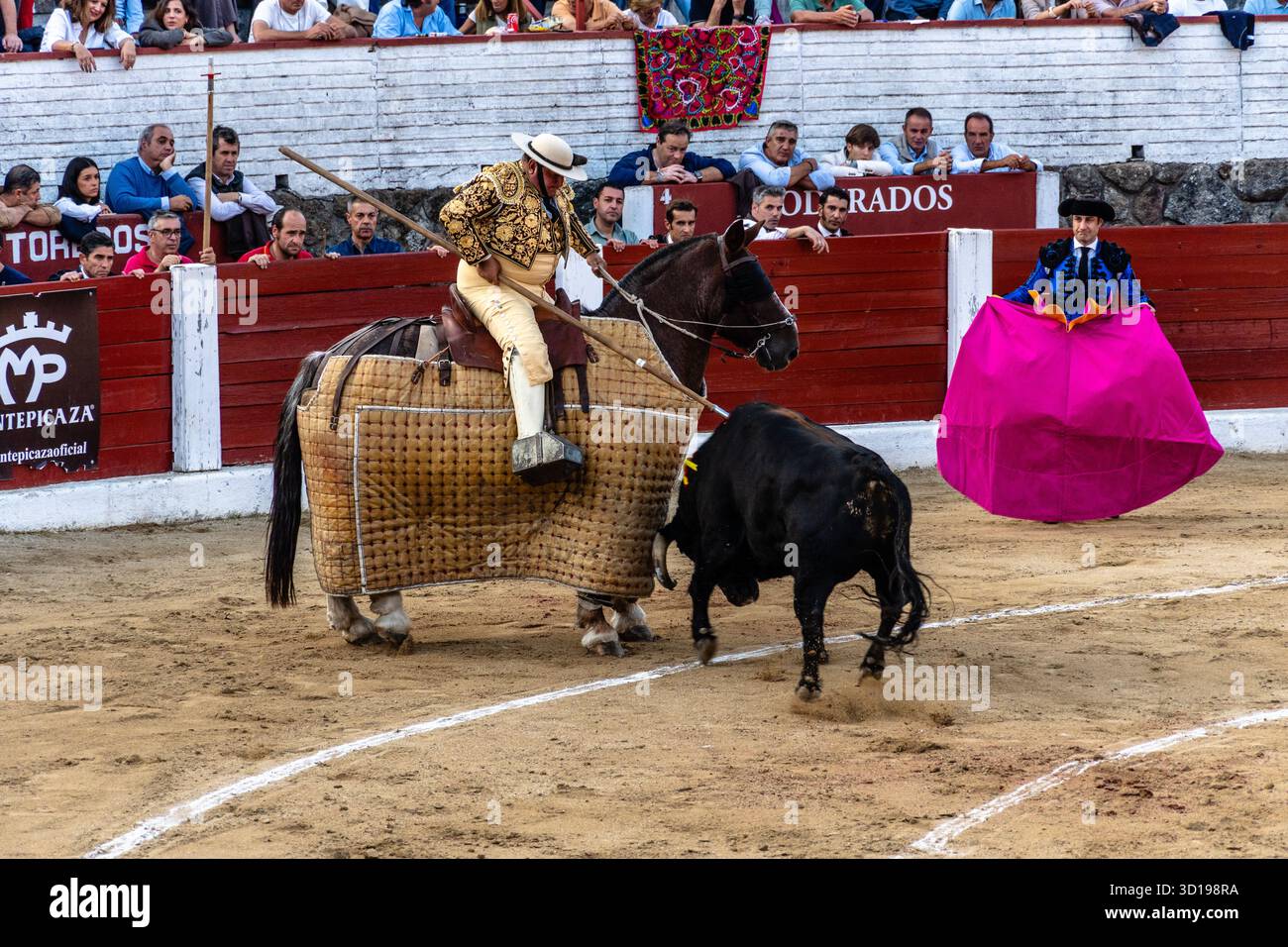 Picador dans les arènes de Arenas de San Pedro avec taureau Banque D'Images