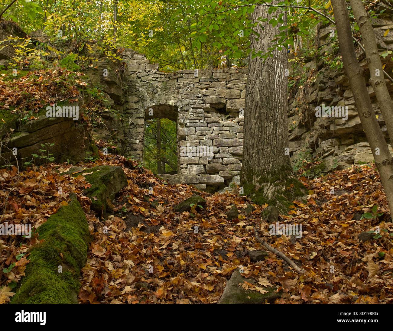 Porte dans un mur de roche entre les arbres et les feuilles Banque D'Images