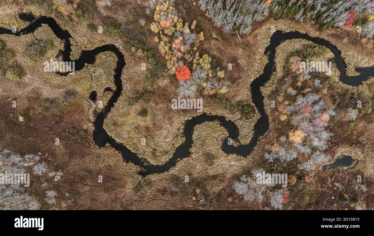 Vue aérienne du ruisseau serpentant à travers les marécages des zones humides à l'automne Banque D'Images