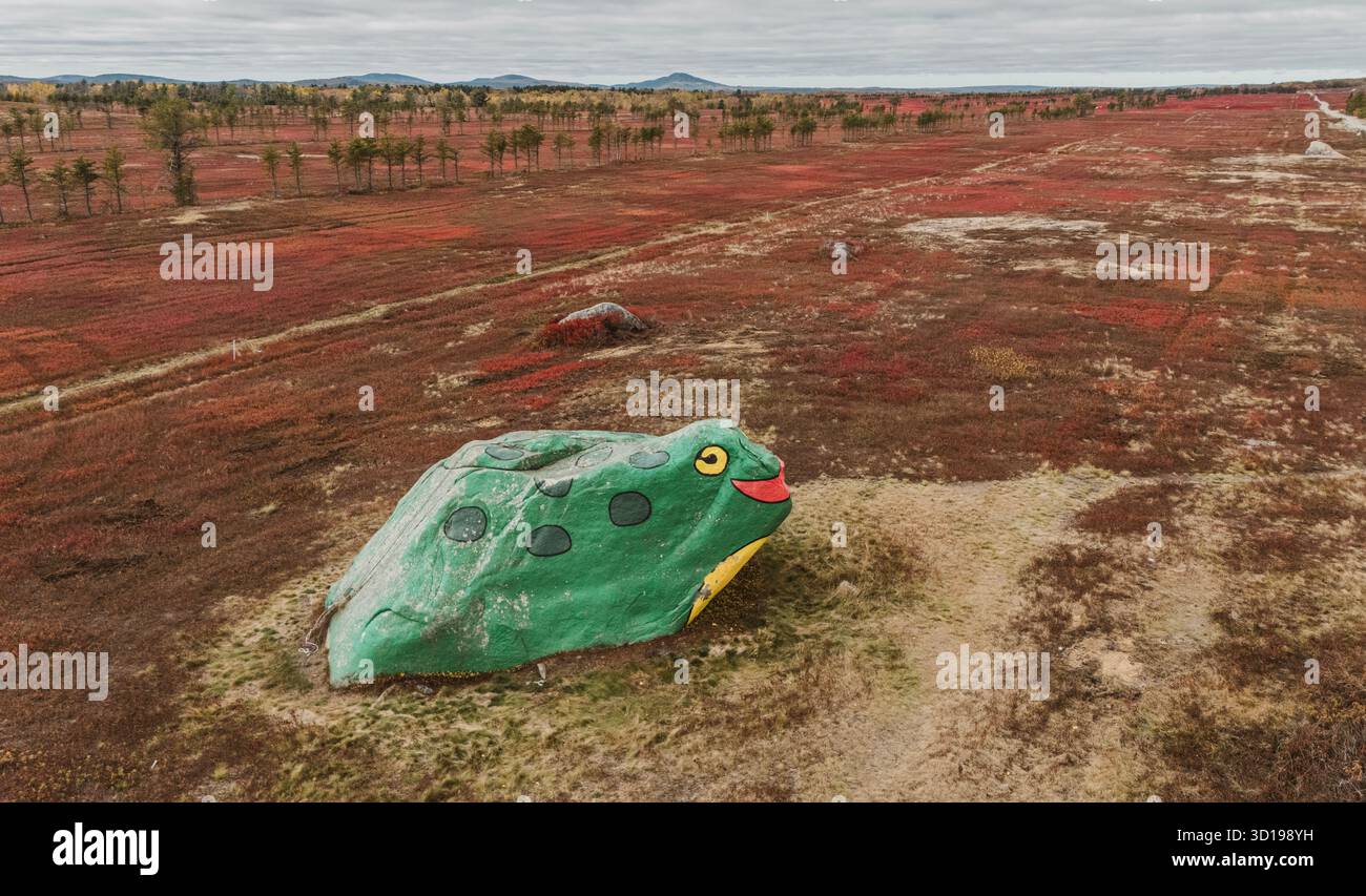 Roche peinte pour ressembler à une grenouille au milieu d'un champ de ferme dans le Maine Banque D'Images