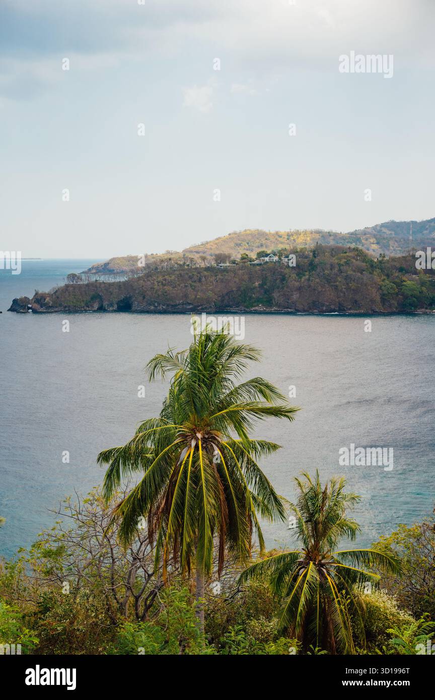 Palmiers tropicaux surplombant la baie de Malimbu, Lombok, Indonésie Banque D'Images