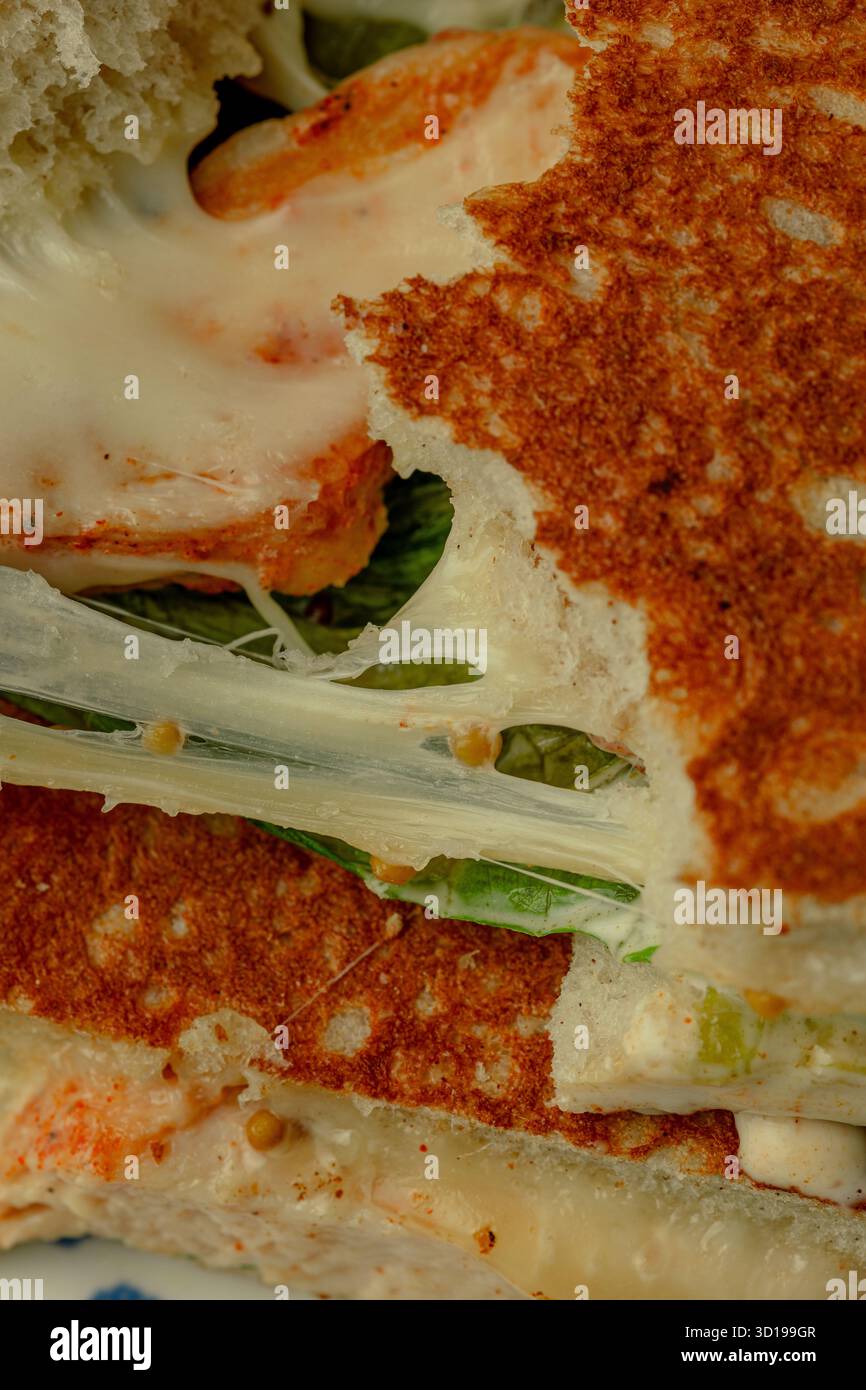 Gros plan sur le sandwich au jambon et au fromage Banque D'Images