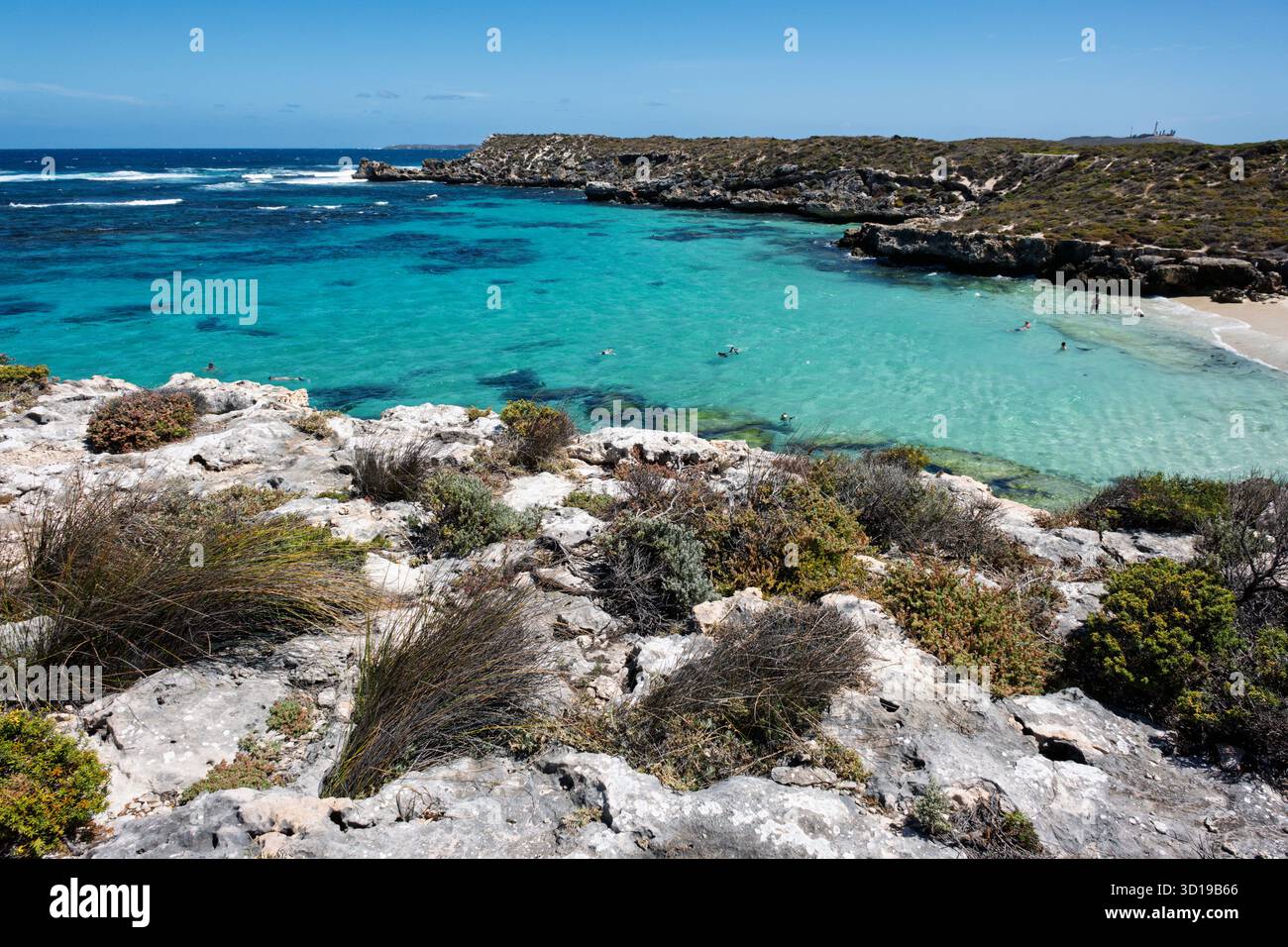Little Salmon Bay, Rottnest Island, près de Fremantle, Perth, Australie occidentale Banque D'Images