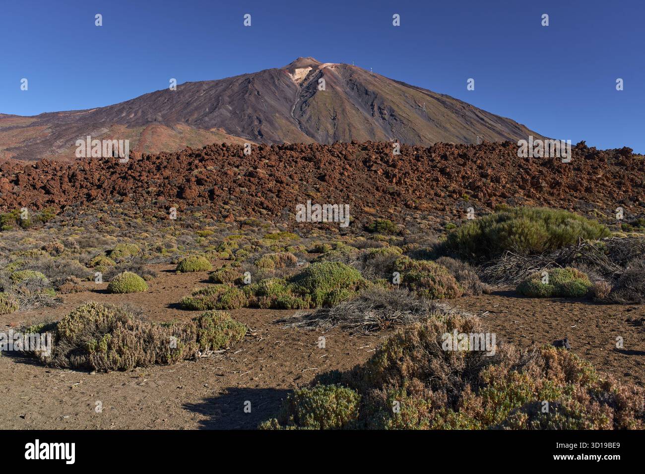 Volcan du Mont Teide s'élevant au-dessus d'un champ de roches de lave escarpées et de végétation désertique clairsemée dans le paysage aride du parc national du Teide sous un clair Banque D'Images