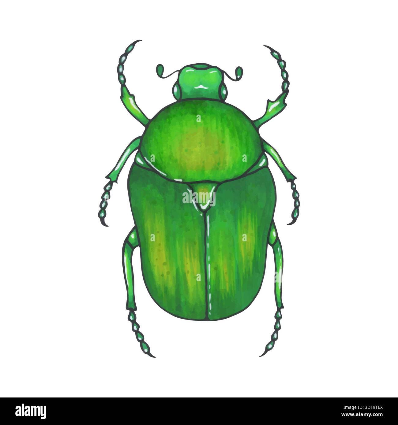 bug bronze. Illustration d'insecte dessinée à la main, détaillée Bug isolé sur fond blanc Illustration de Vecteur